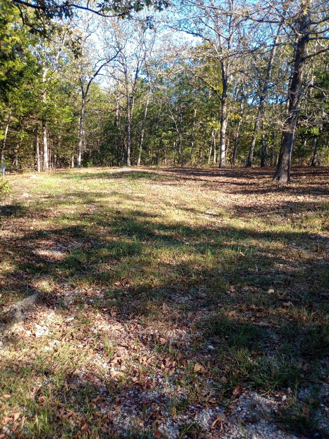 1805 County Road 837- Tract A Property Photo 1