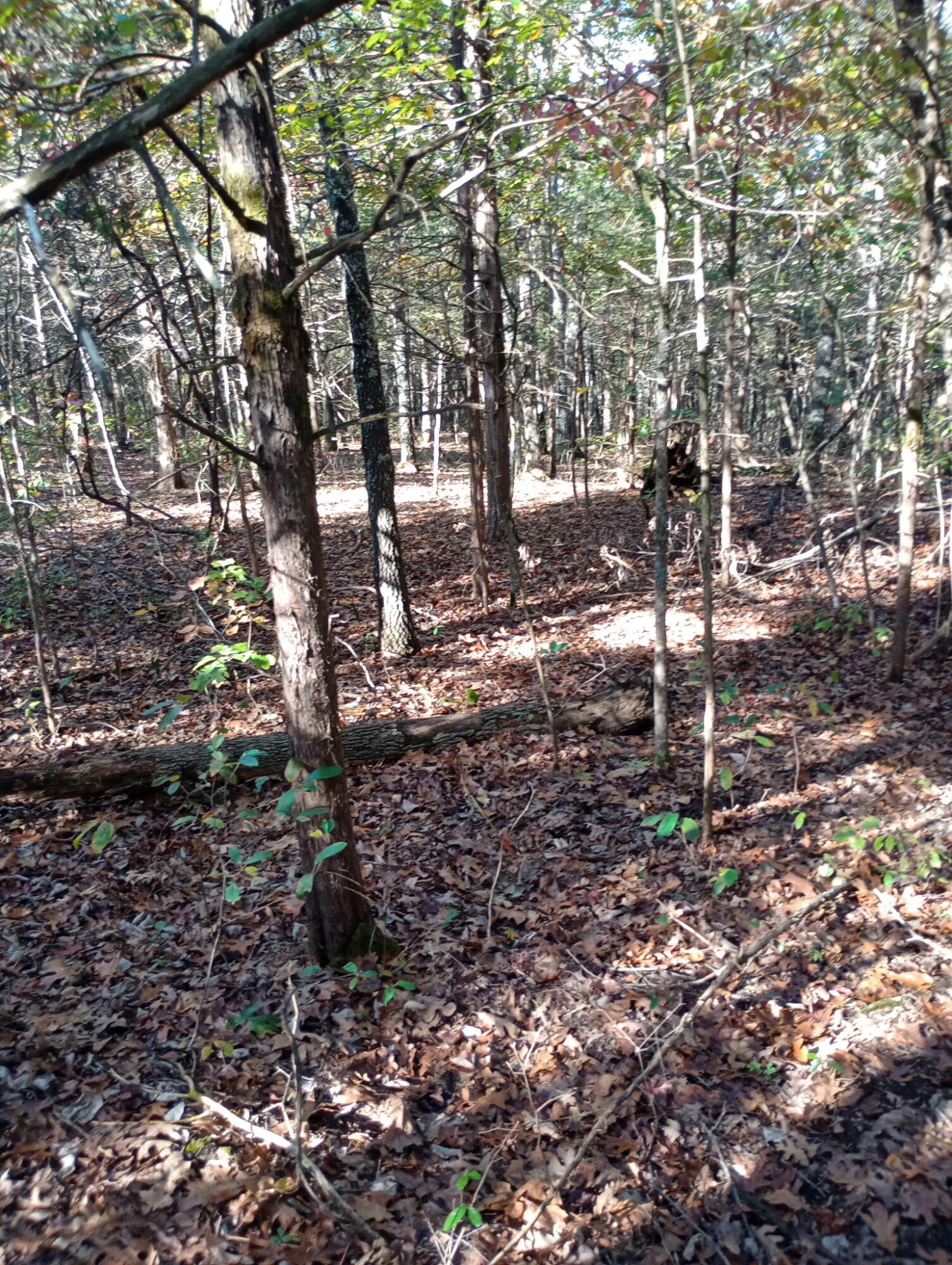 1805 County Road 837- Tract A Property Photo 4