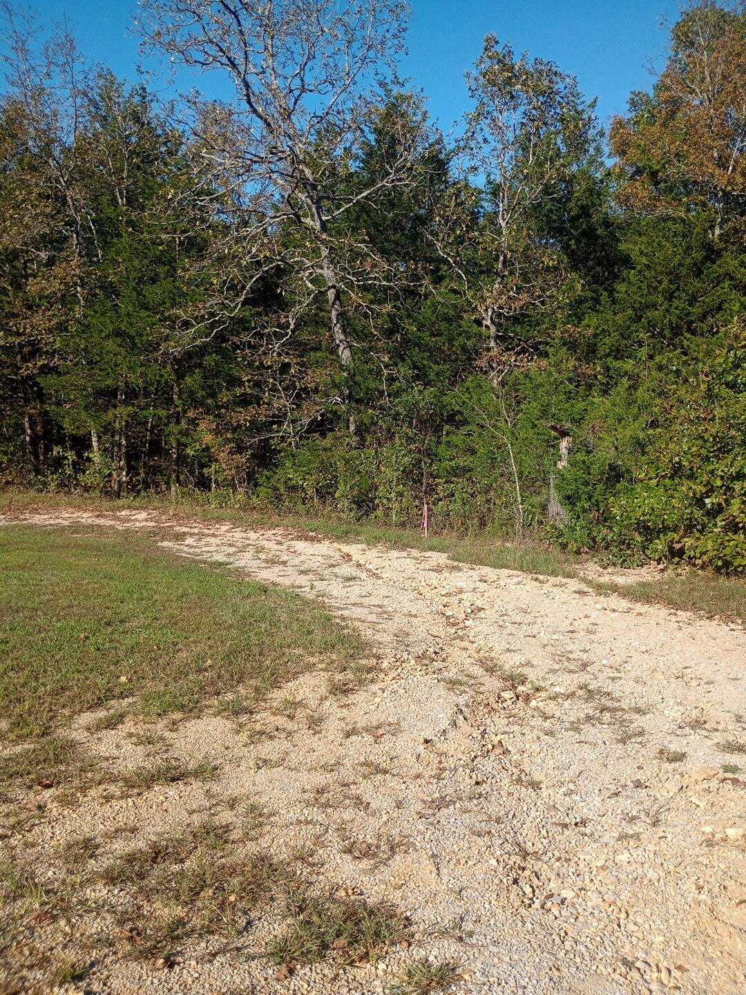 1805 County Road 837- Tract A Property Photo 7