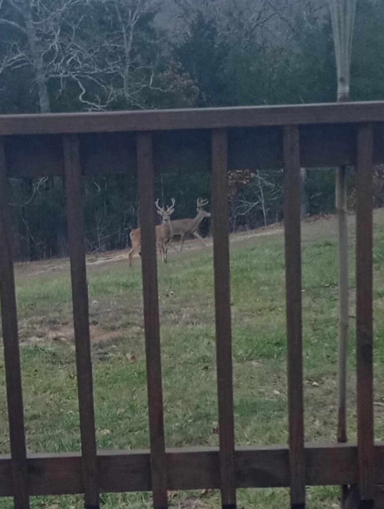 1805 County Road 837- Tract A Property Photo 10