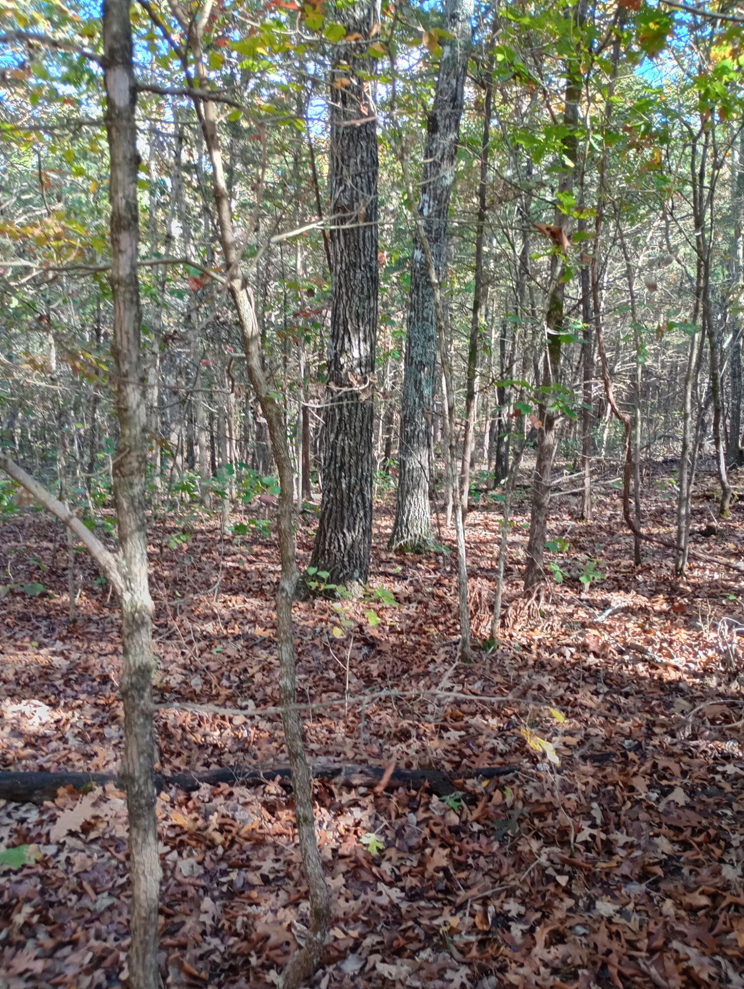 1805 County Road 837- Tract A Property Photo 12