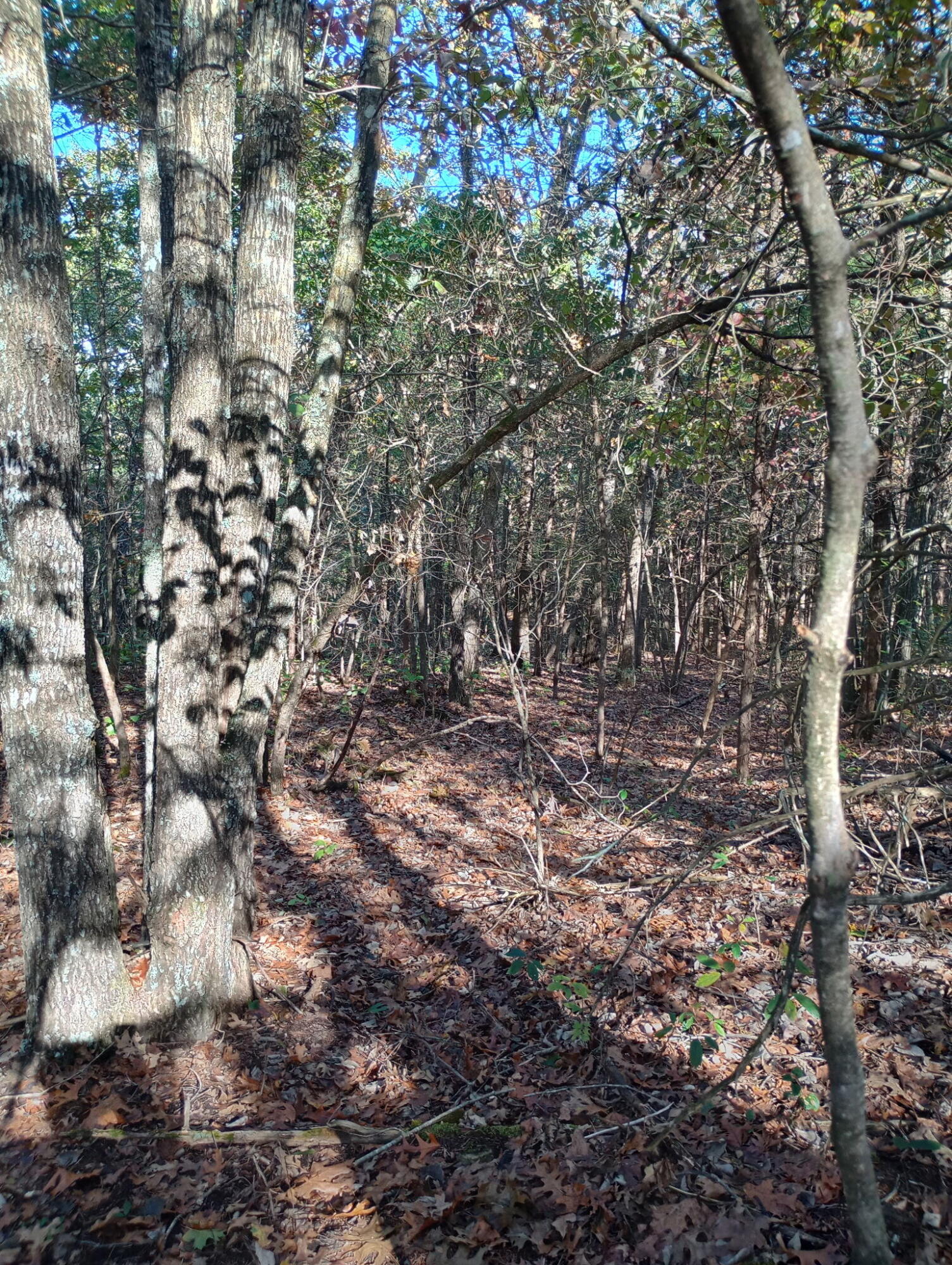 1805 County Road 837- Tract A Property Photo 13