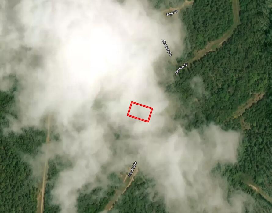 409-2 Ash Flat Drive Property Photo 1