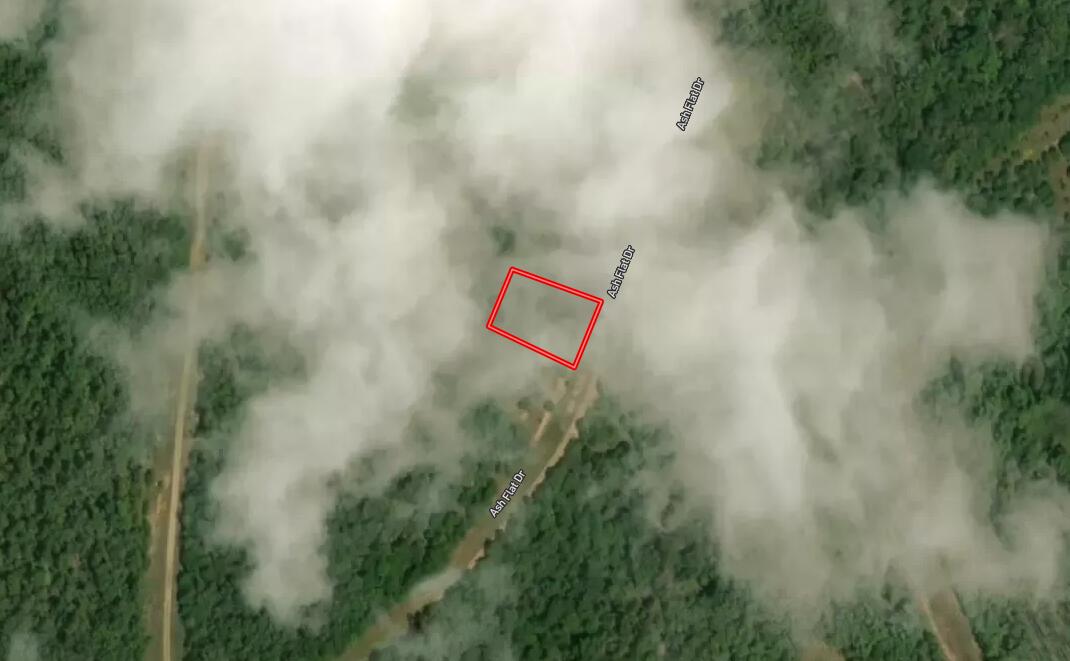 403-2 Ash Flat Drive Property Photo 1