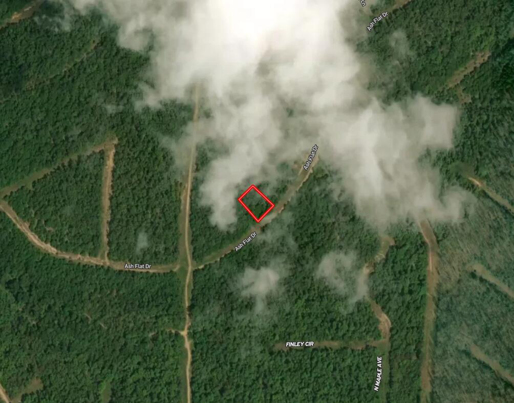 313-2 Ash Flat Drive Property Photo 1