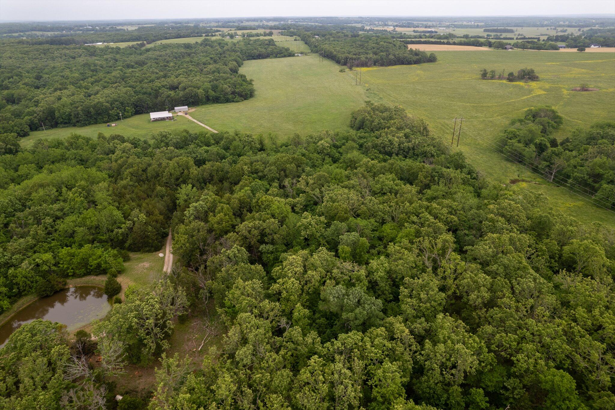 000 Sparrow Drive Property Photo 3