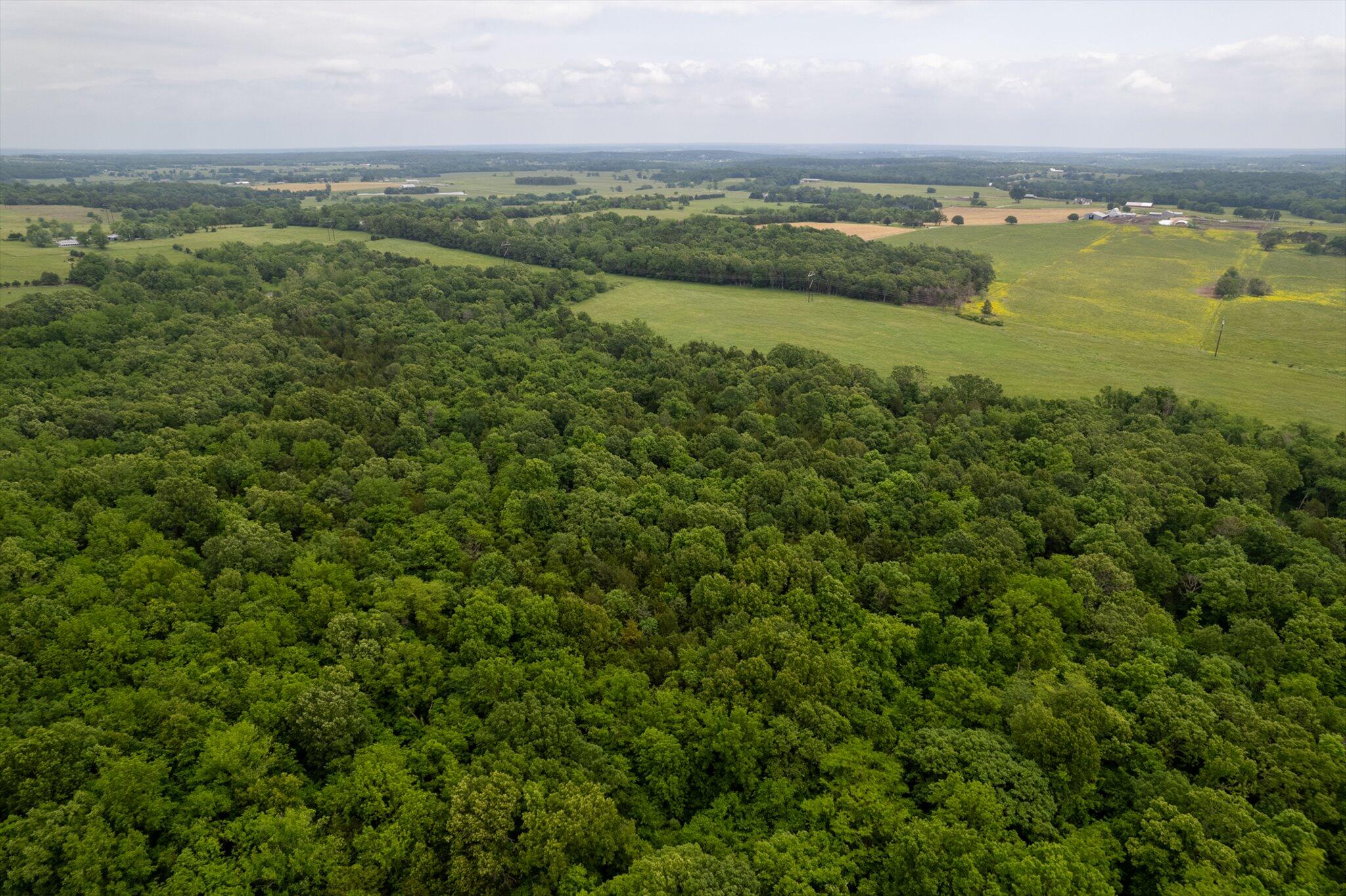 000 Sparrow Drive Property Photo 4