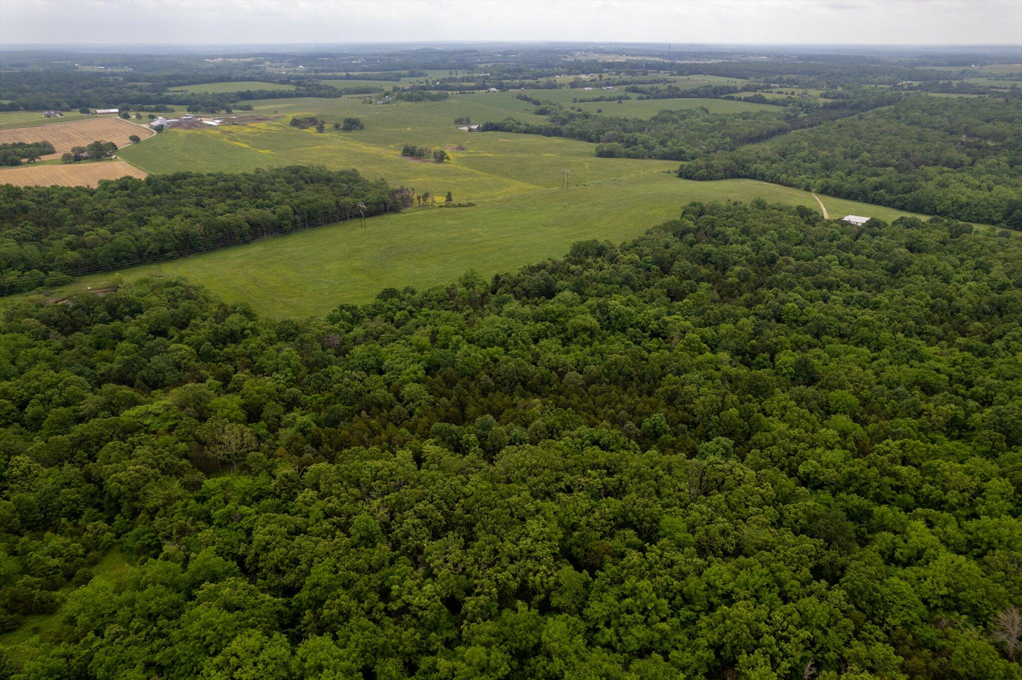 000 Sparrow Drive Property Photo 5