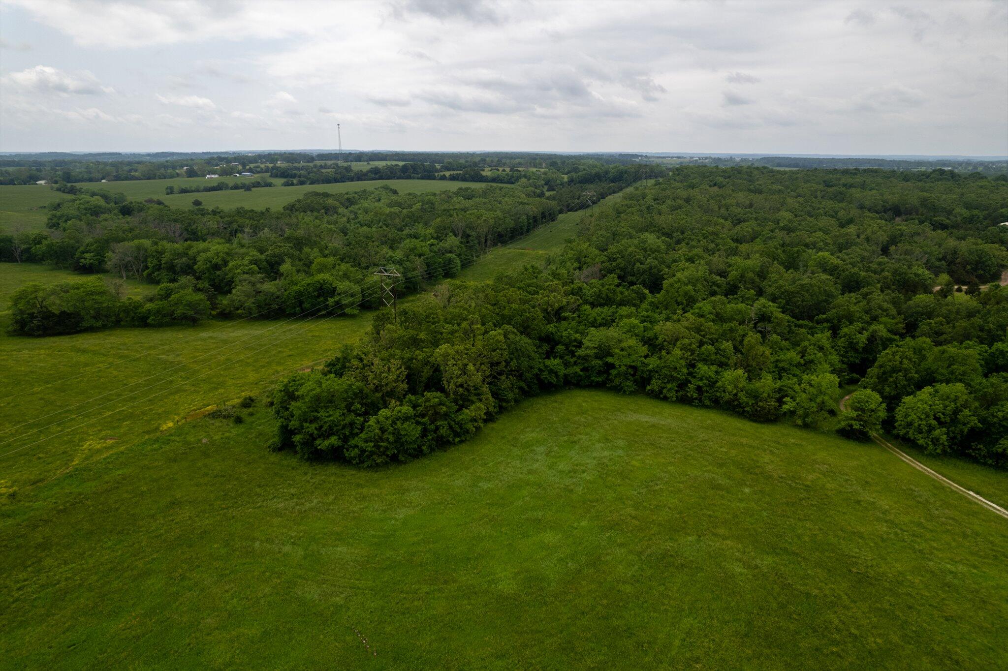 000 Sparrow Drive Property Photo 7