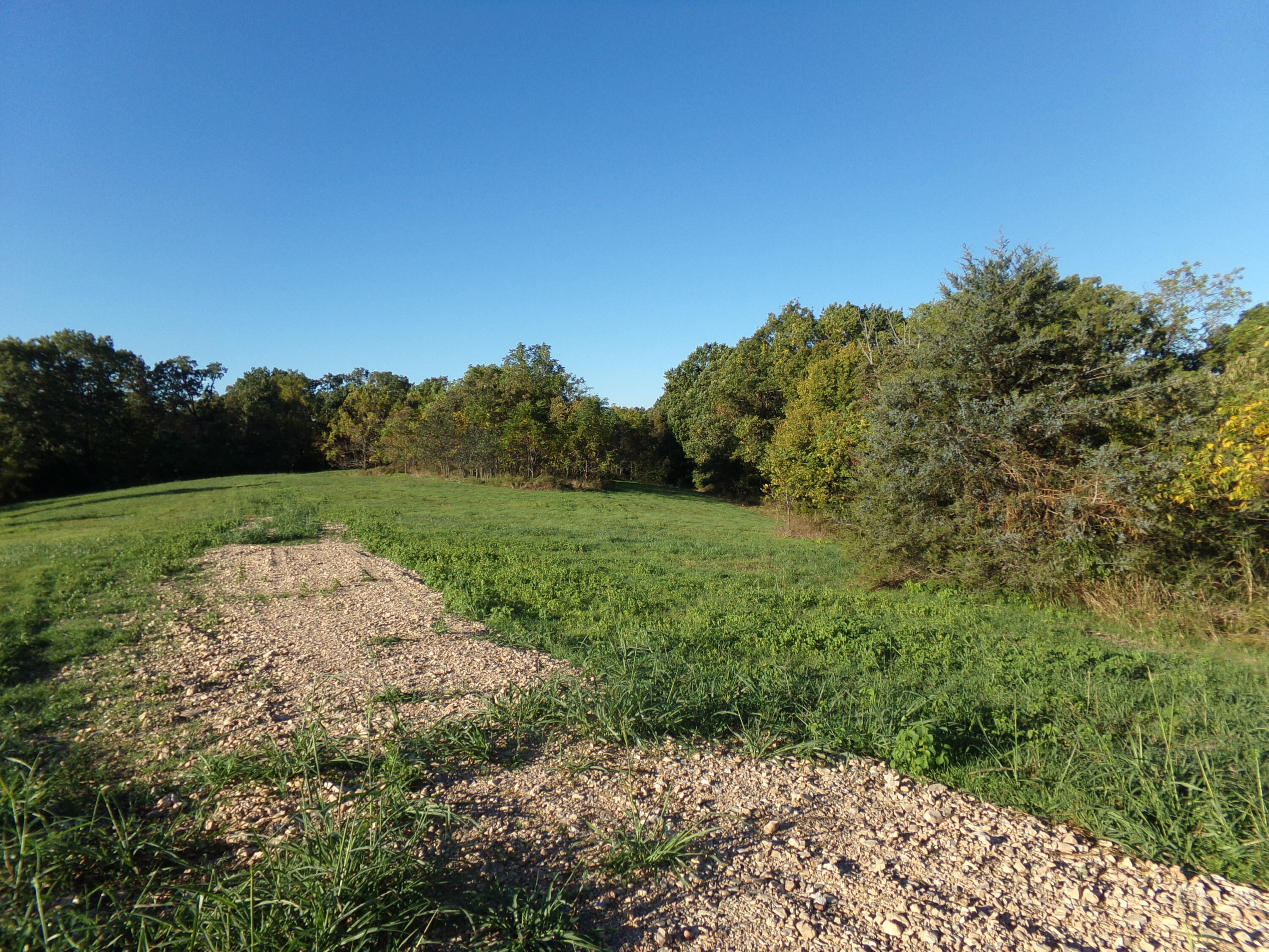 000 Eternity Ln Property Photo 3