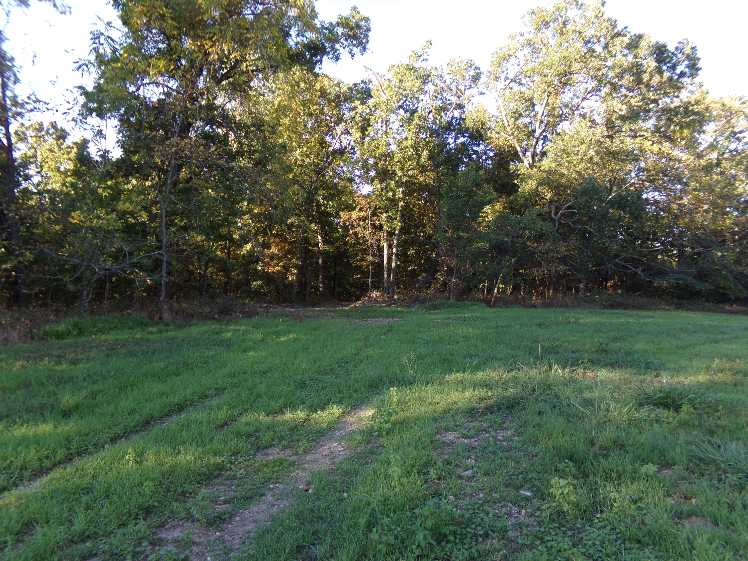 000 Eternity Ln Property Photo 4