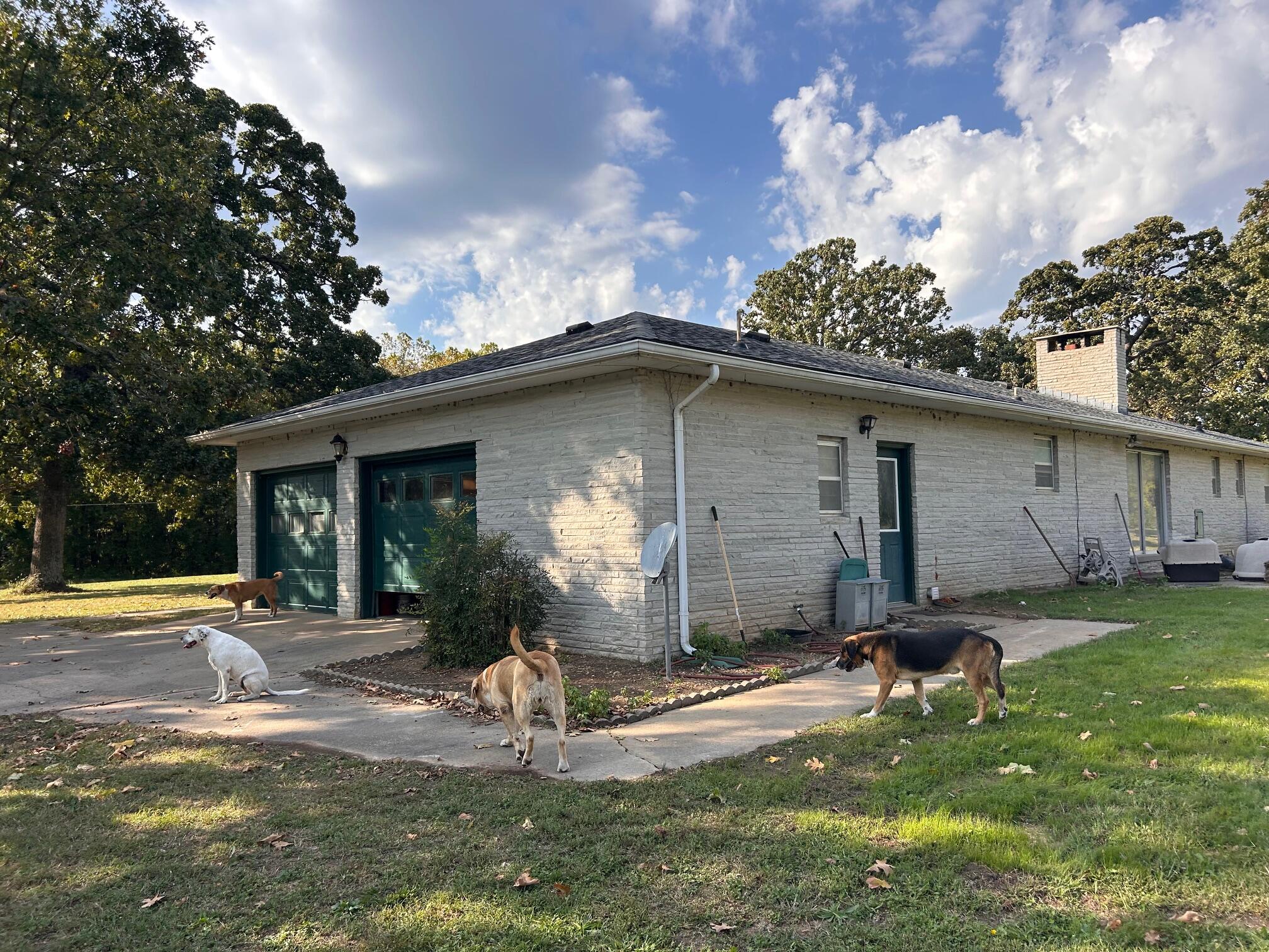 13786 County Road 270 Property Photo 1