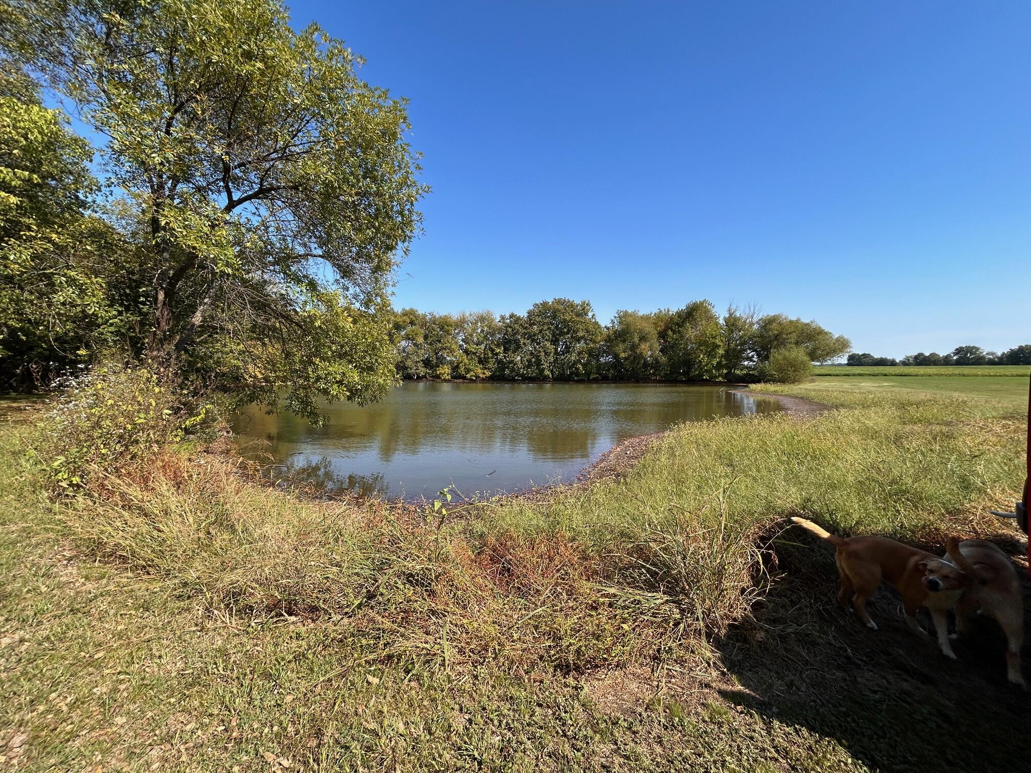 13786 County Road 270 Property Photo 21