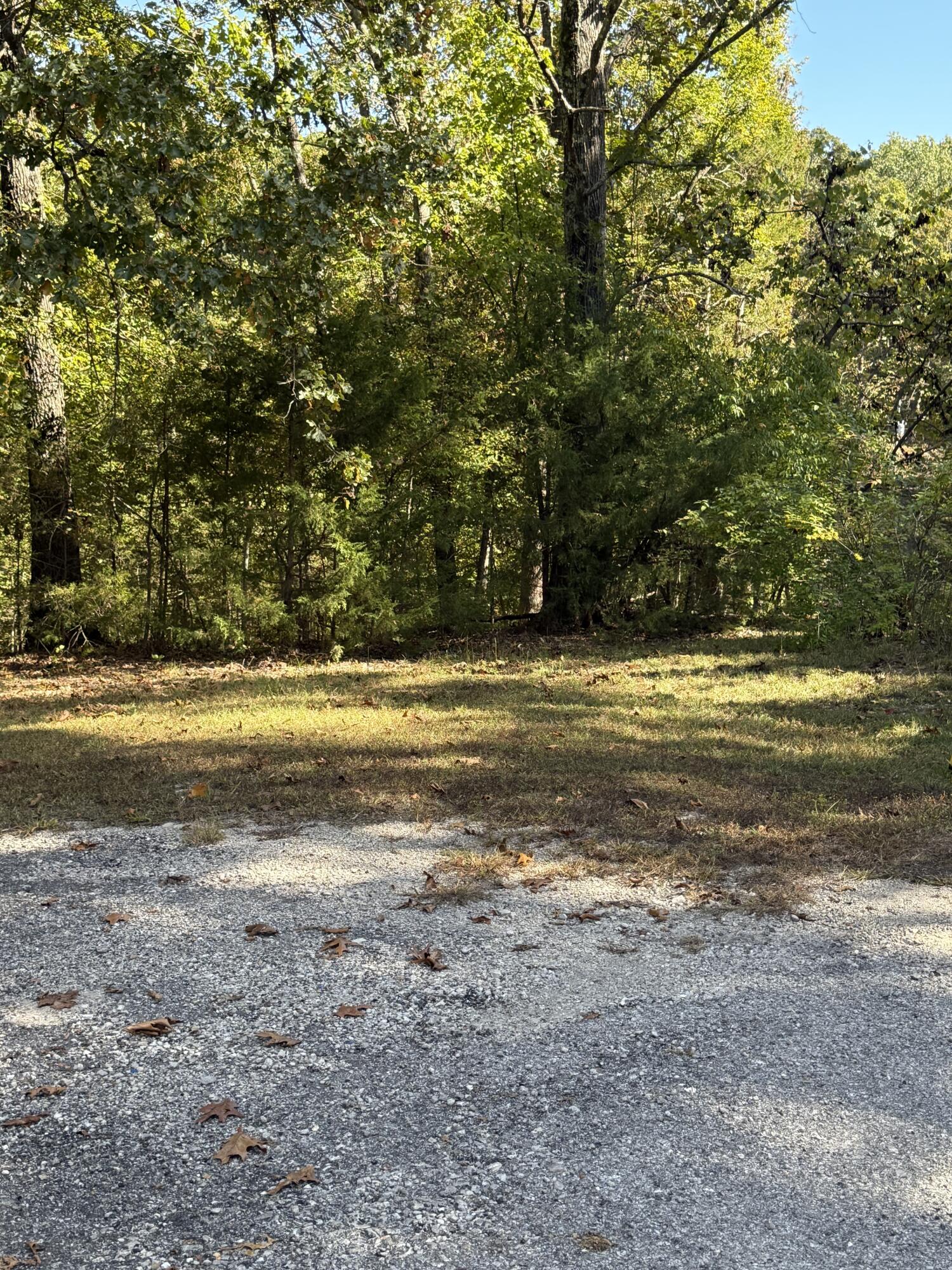 000 Farm Road 1263 Property Photo 6