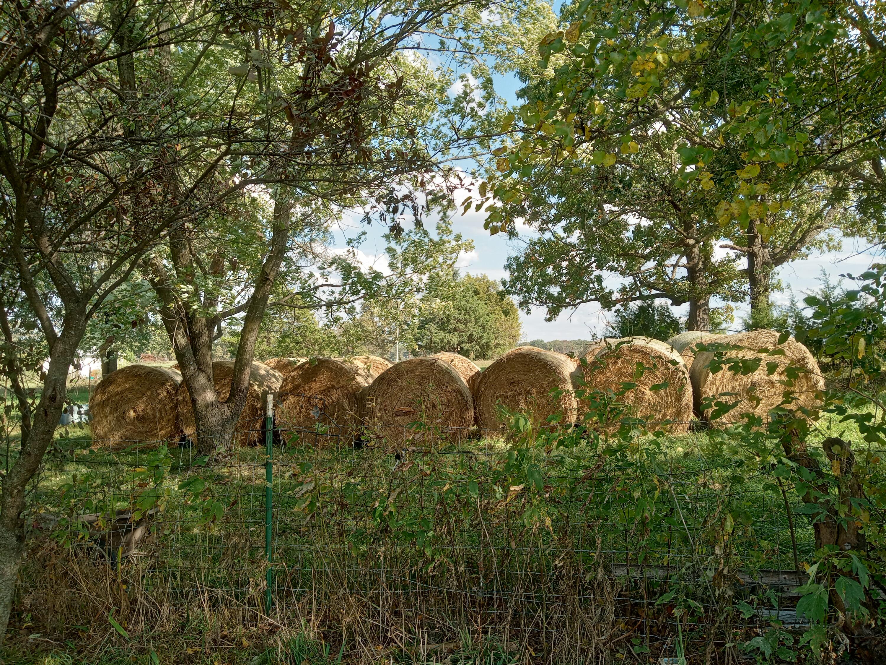 11 Concord Road Property Photo 39