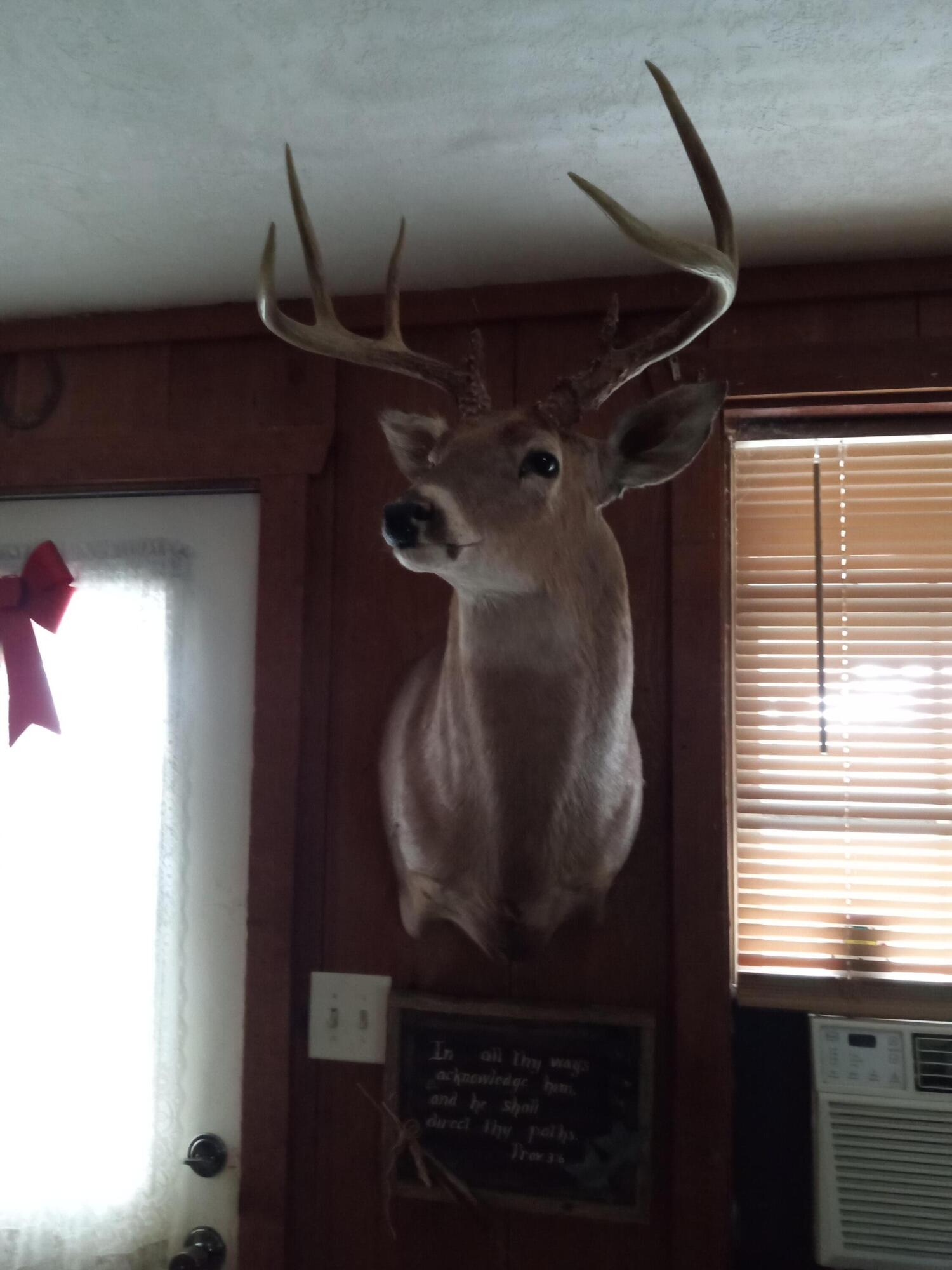 11 Concord Road Property Photo 43