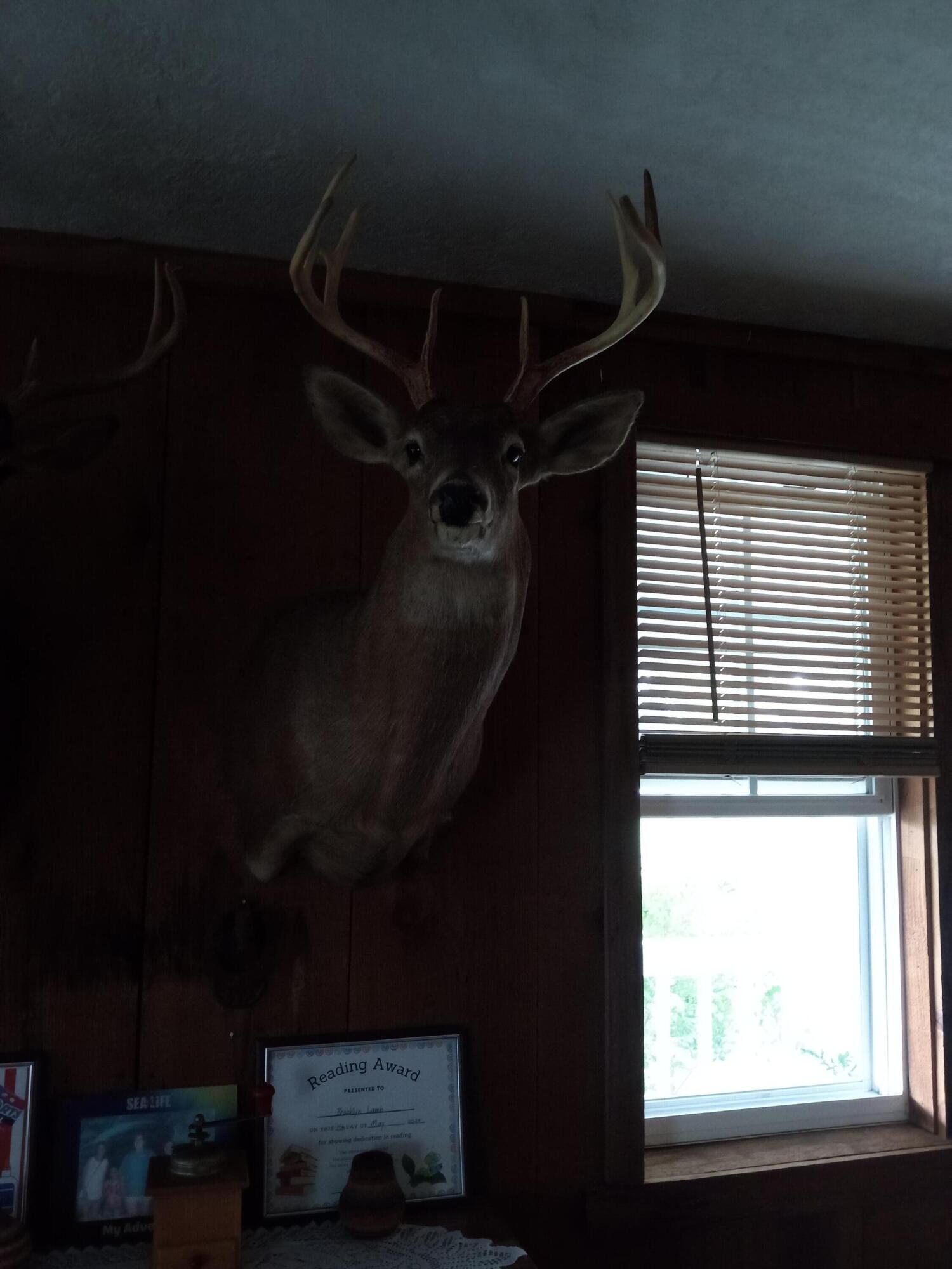 11 Concord Road Property Photo 44