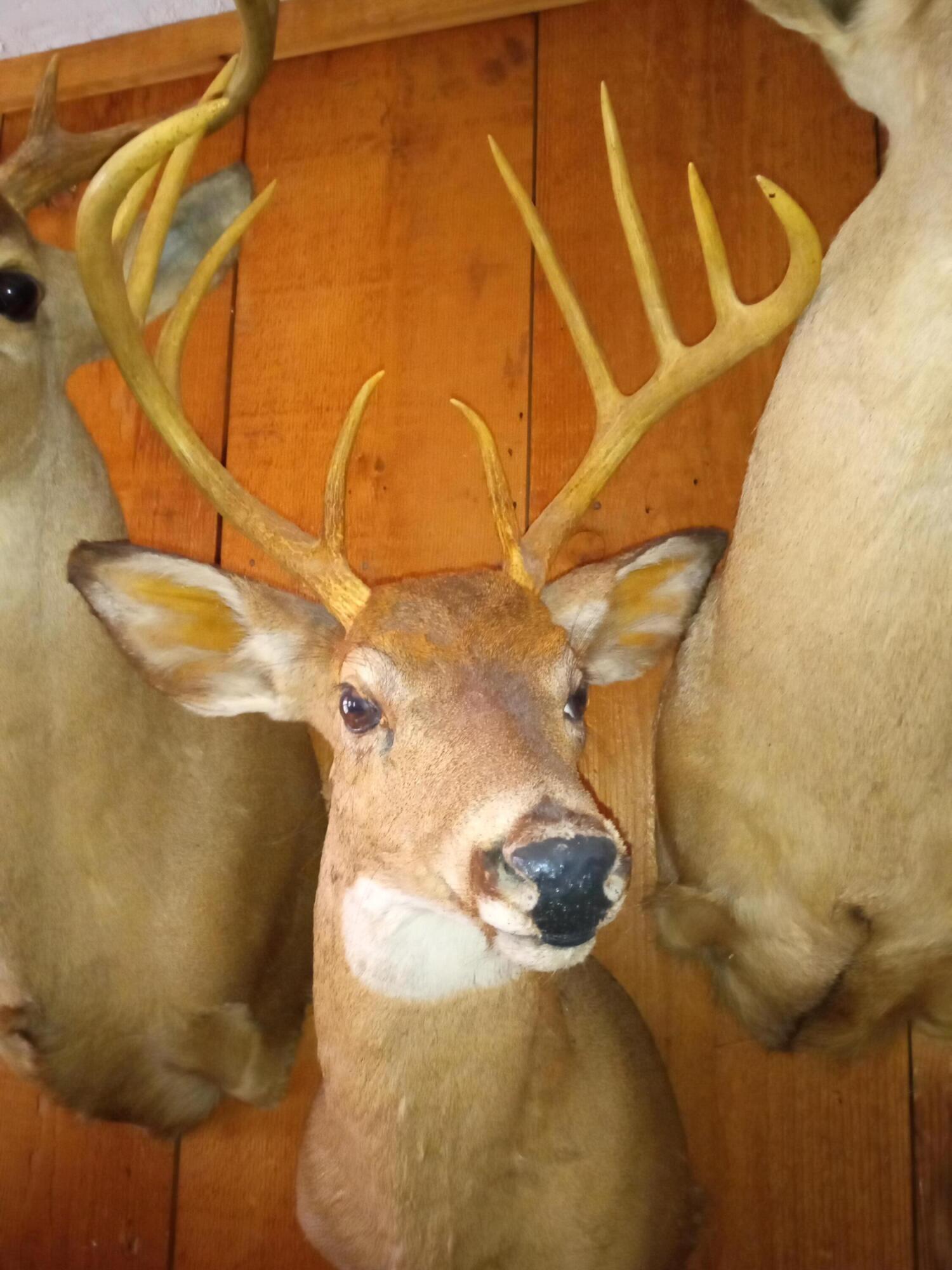 11 Concord Road Property Photo 45