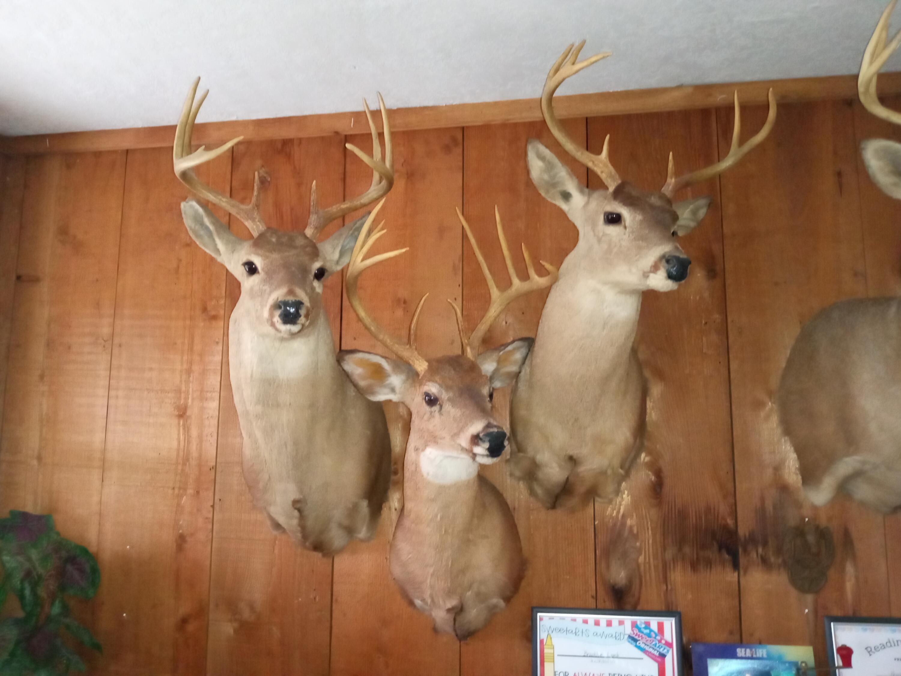 11 Concord Road Property Photo 46