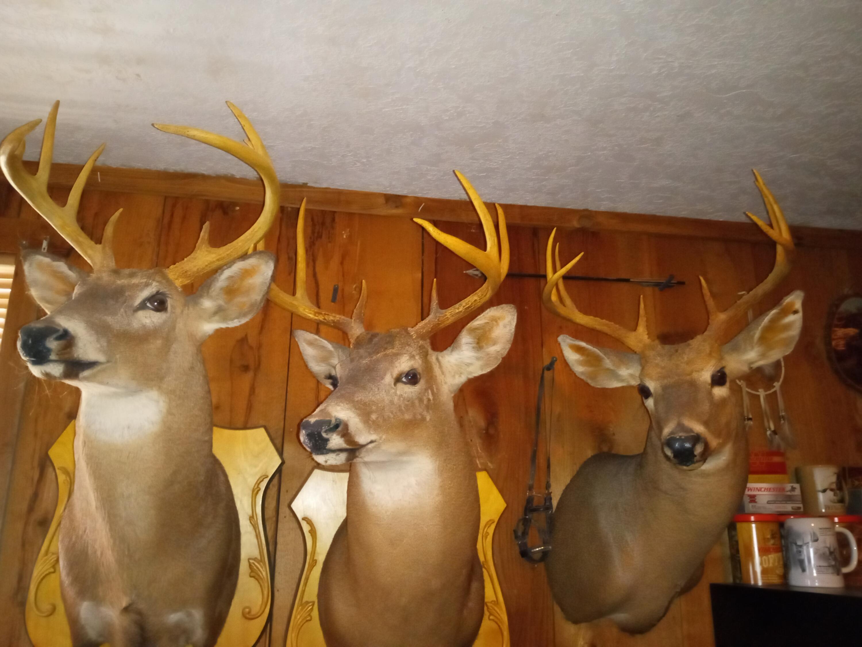 11 Concord Road Property Photo 47