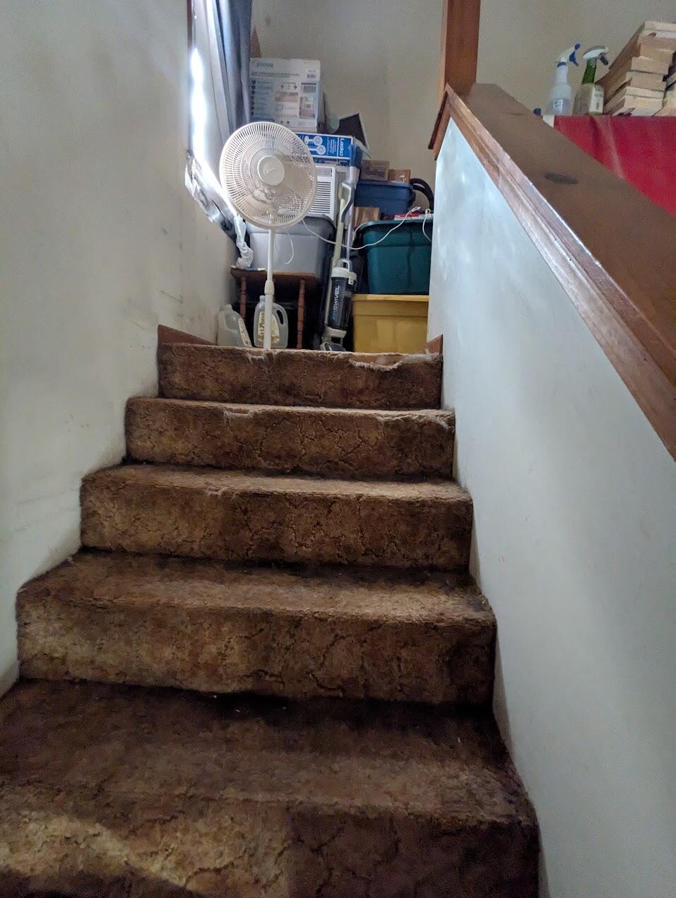 4566 Hickory Hills Drive Property Photo 11