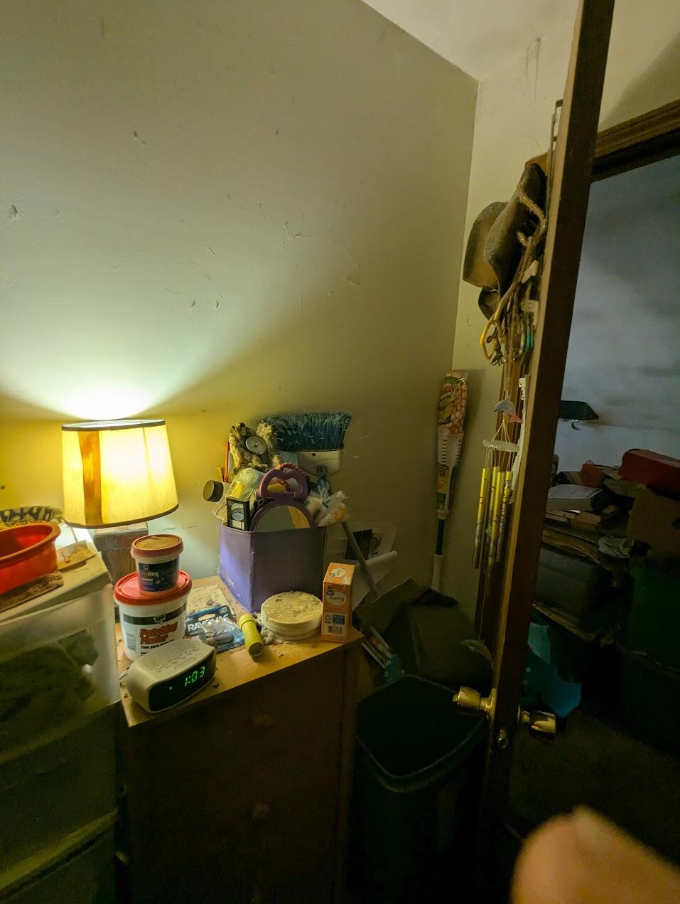 4566 Hickory Hills Drive Property Photo 17