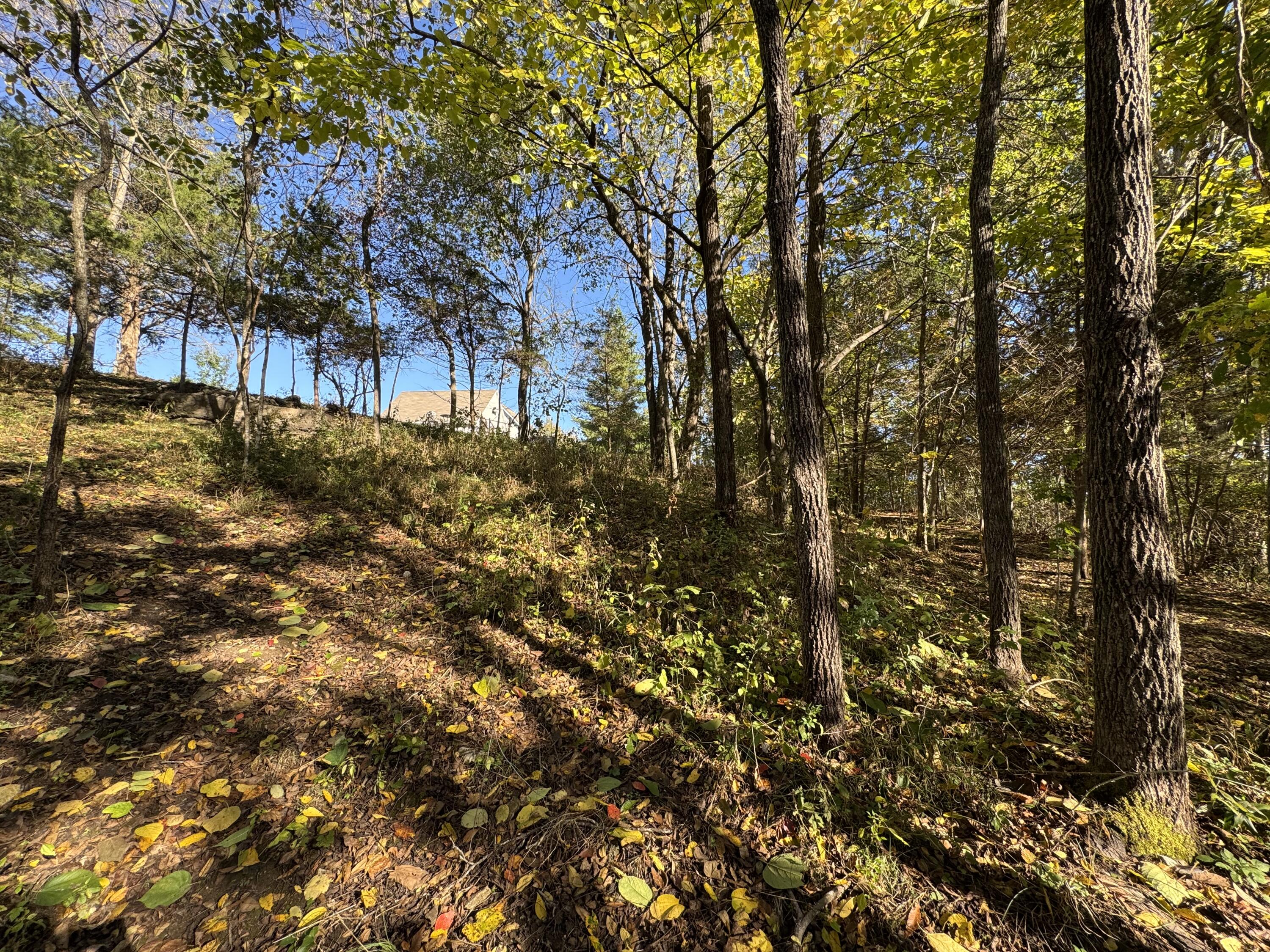 1770 Clouse Road Property Photo 33