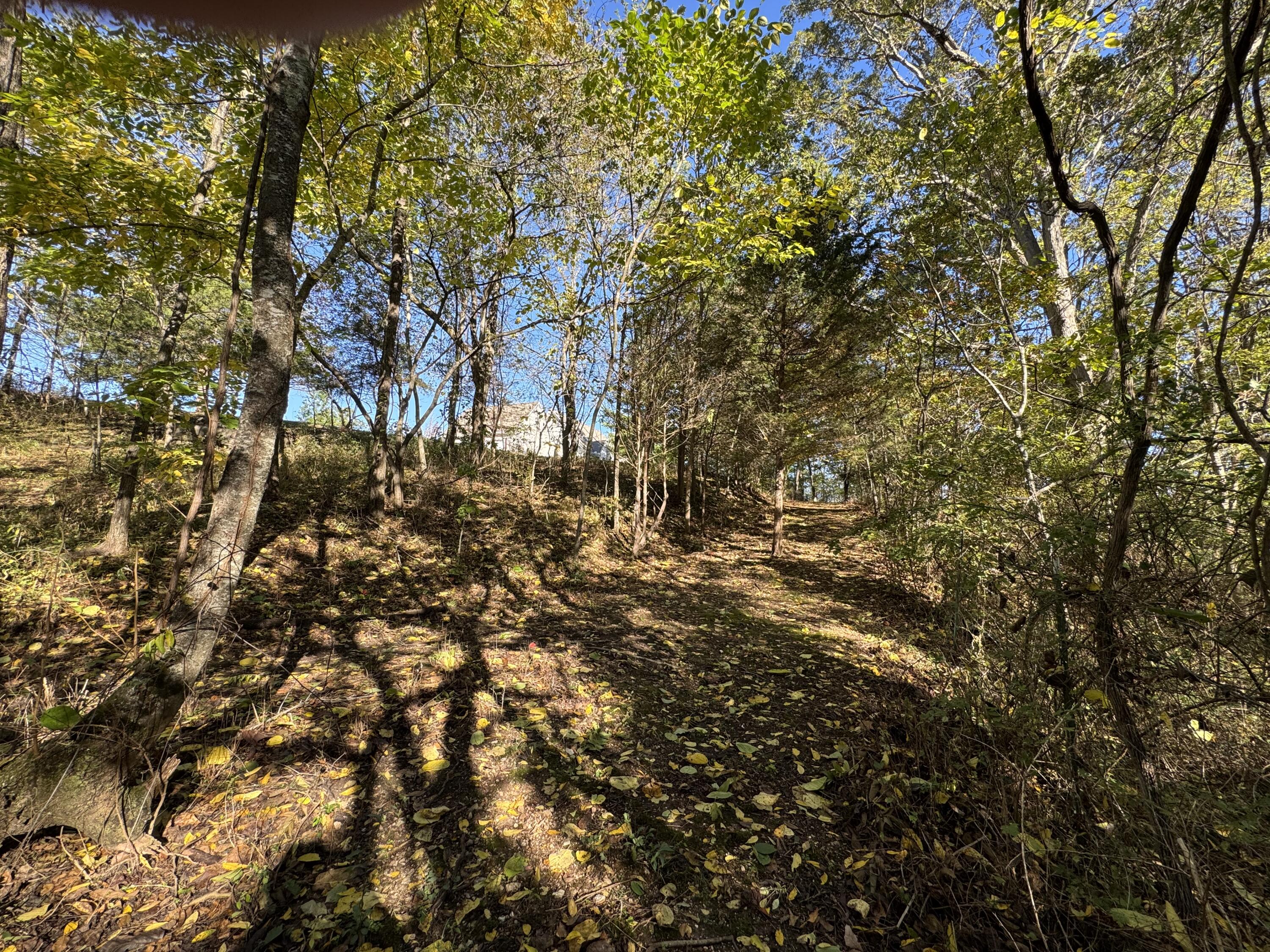 1770 Clouse Road Property Photo 34