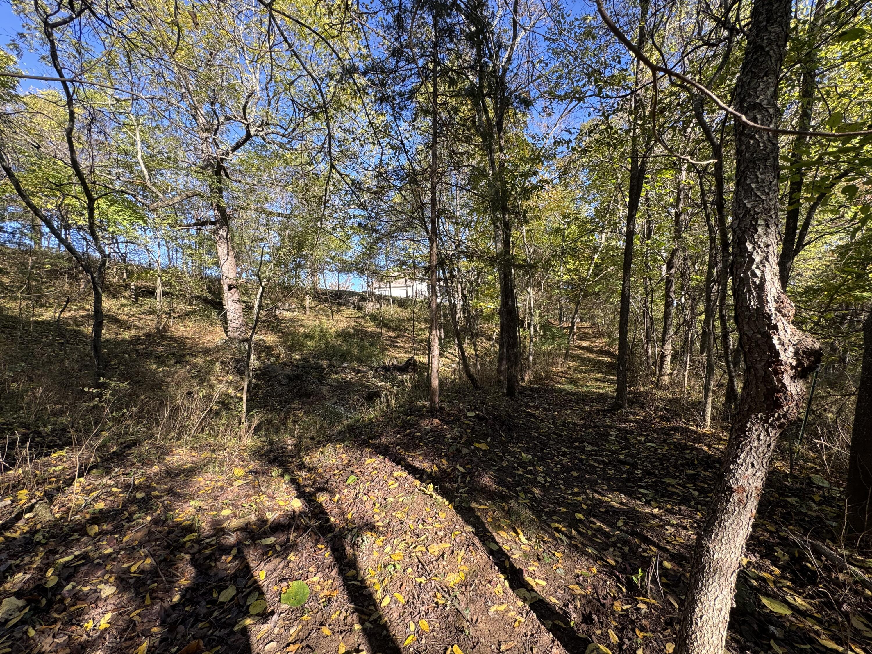 1770 Clouse Road Property Photo 35