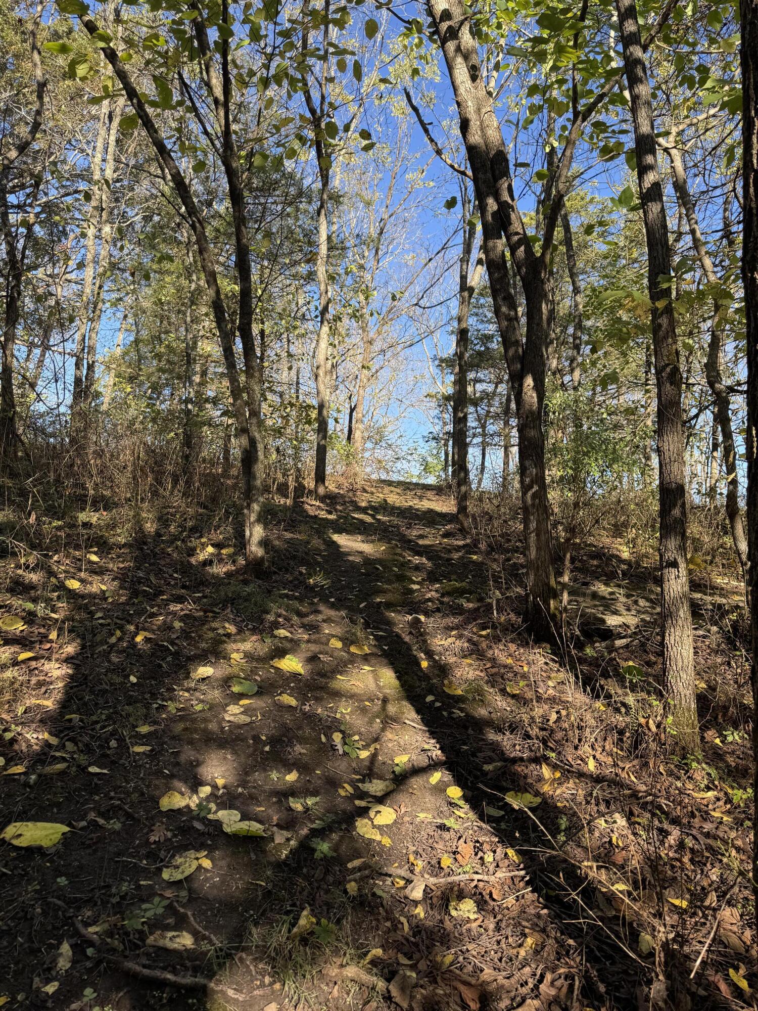 1770 Clouse Road Property Photo 36