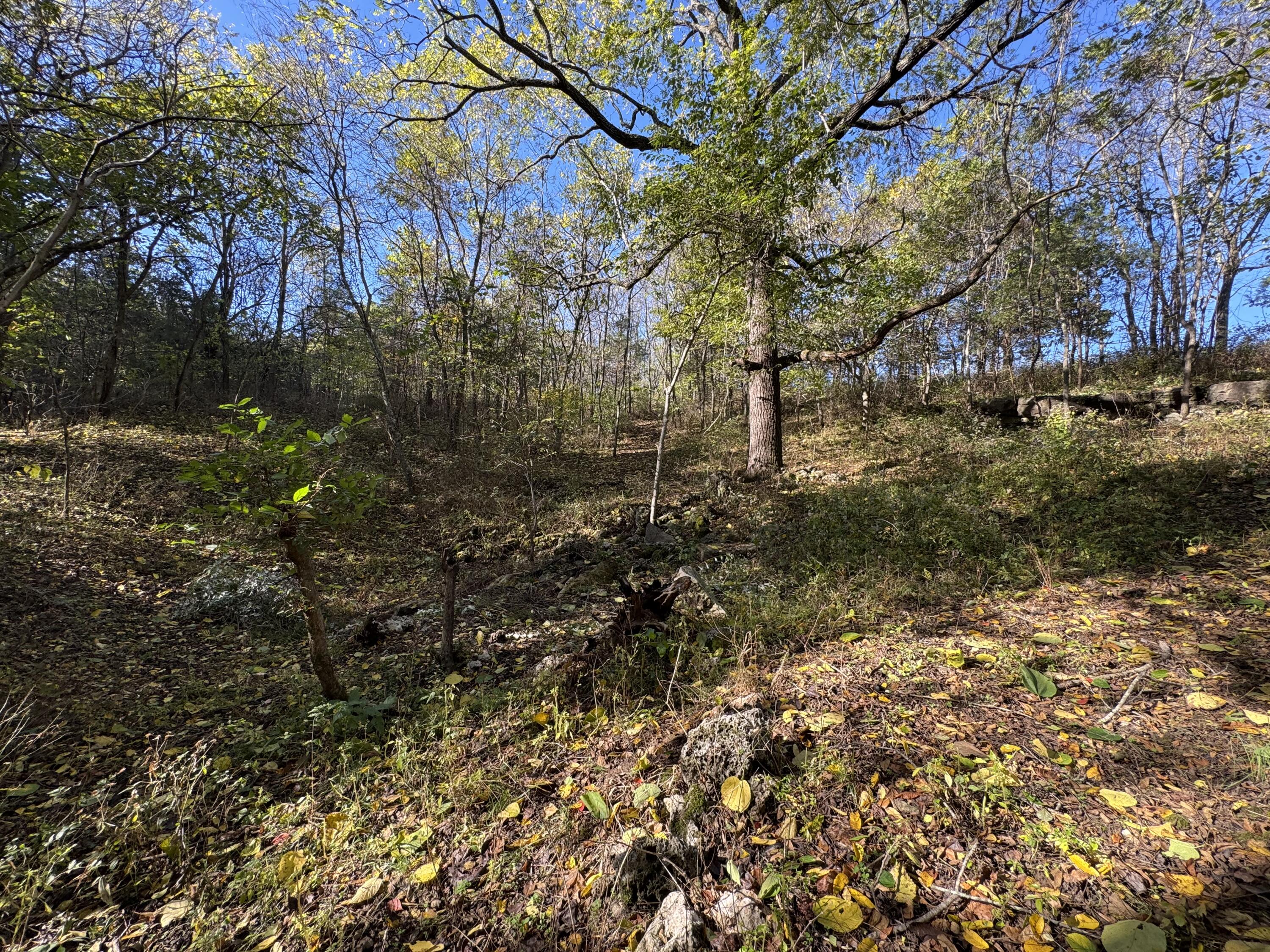 1770 Clouse Road Property Photo 37