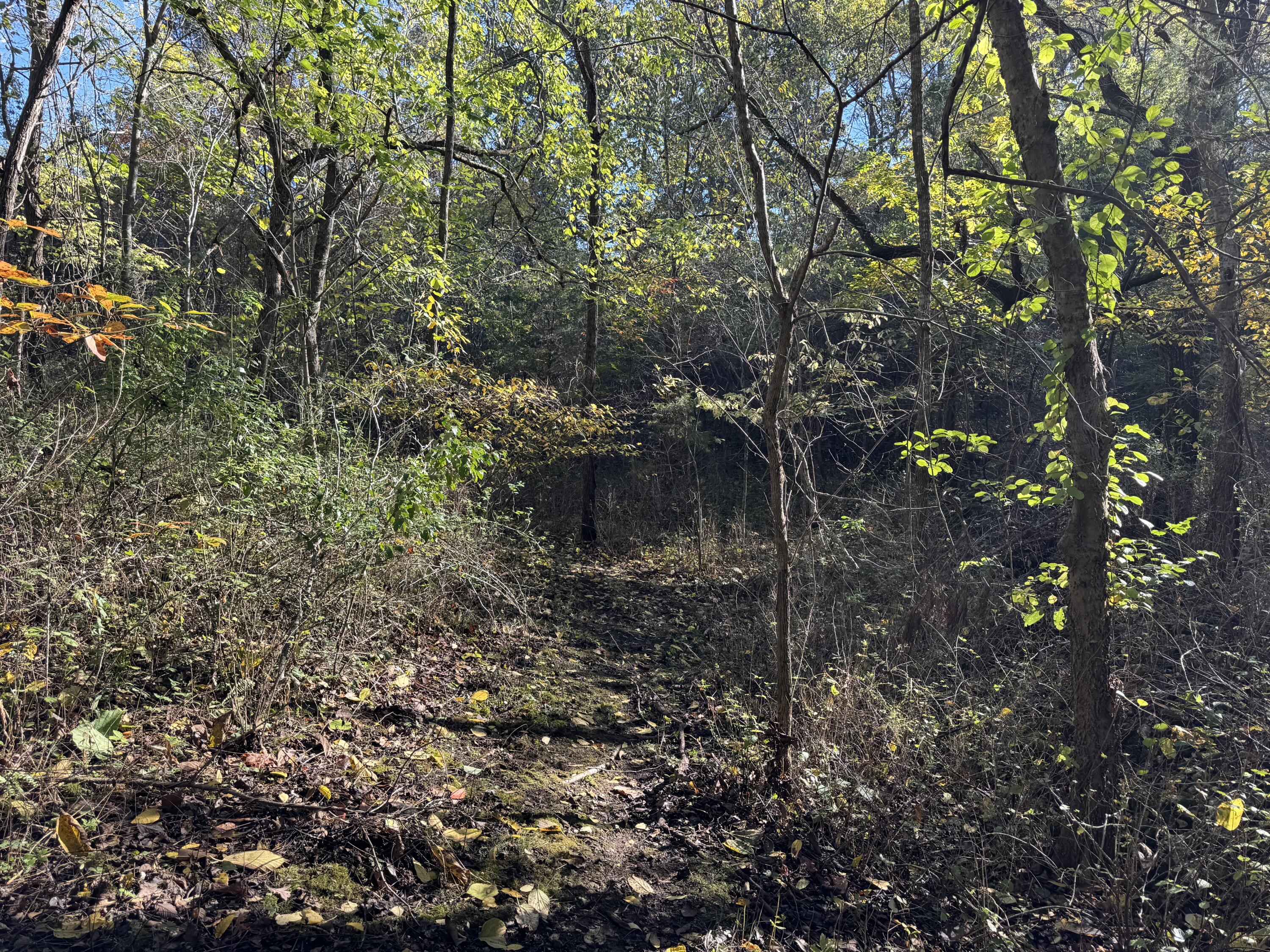 1770 Clouse Road Property Photo 38