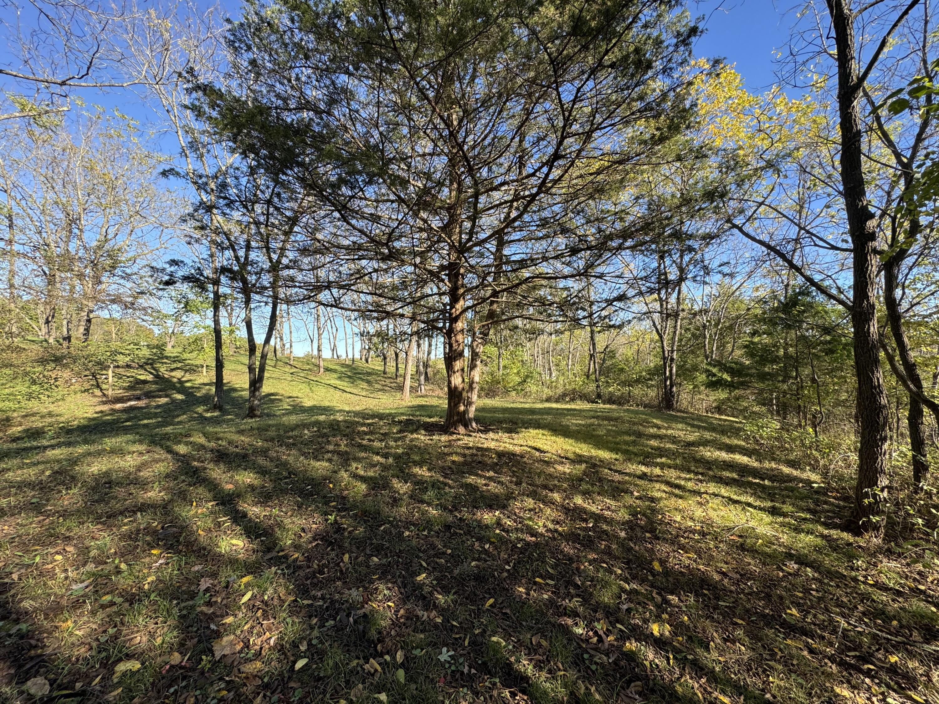 1770 Clouse Road Property Photo 39