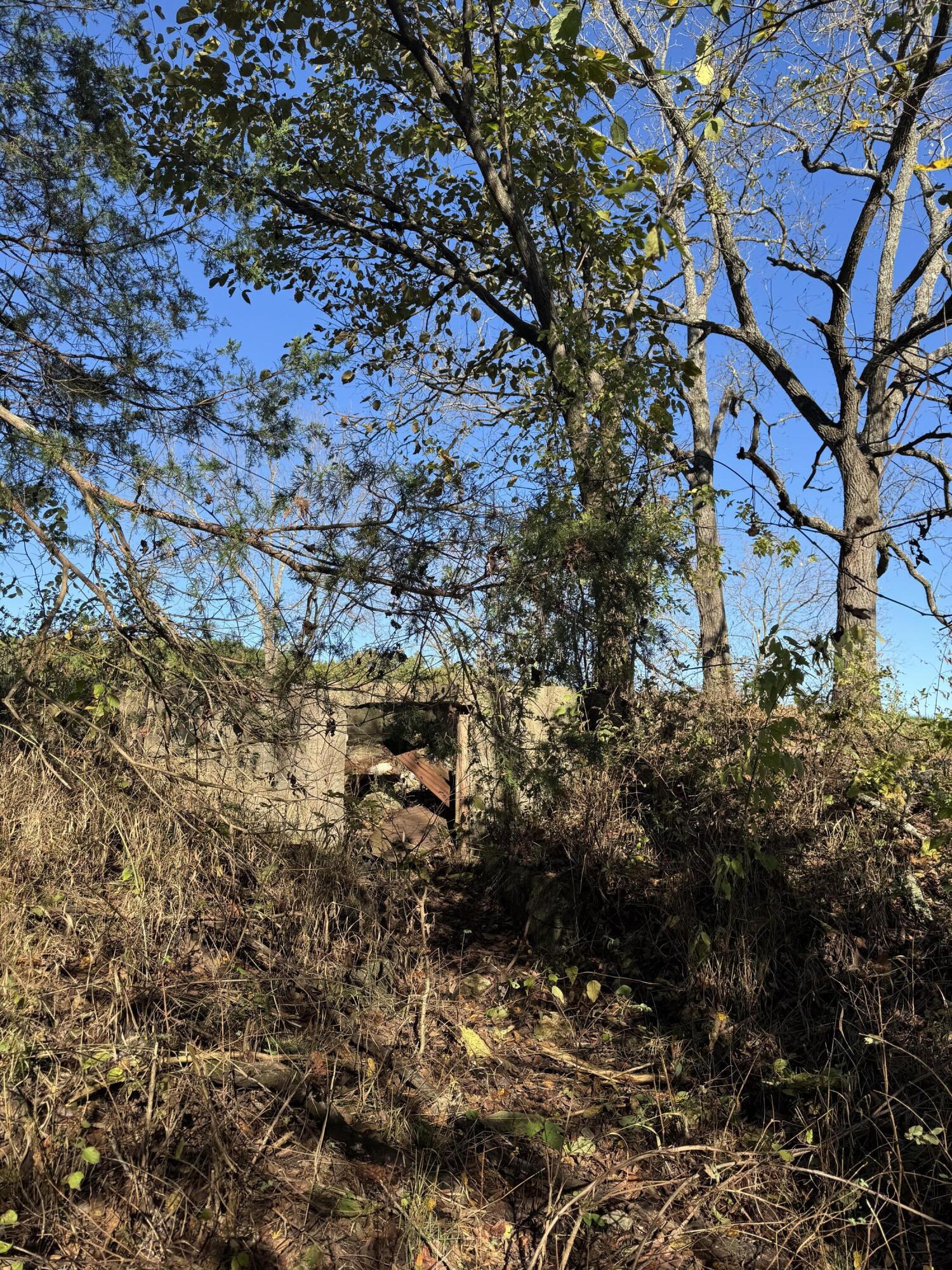 1770 Clouse Road Property Photo 41