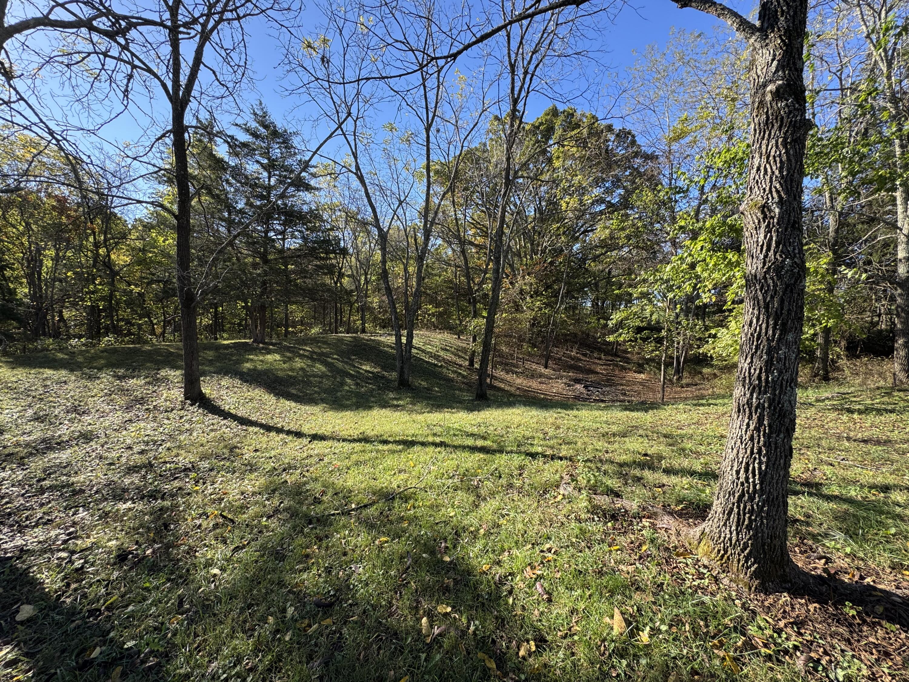 1770 Clouse Road Property Photo 43