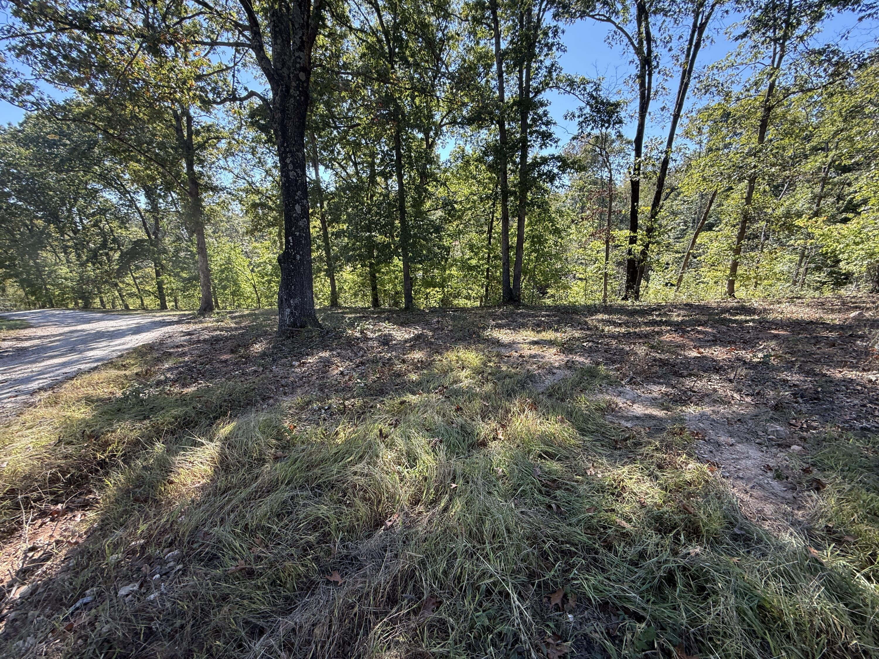 000 Indian Hills Drive Property Photo 4