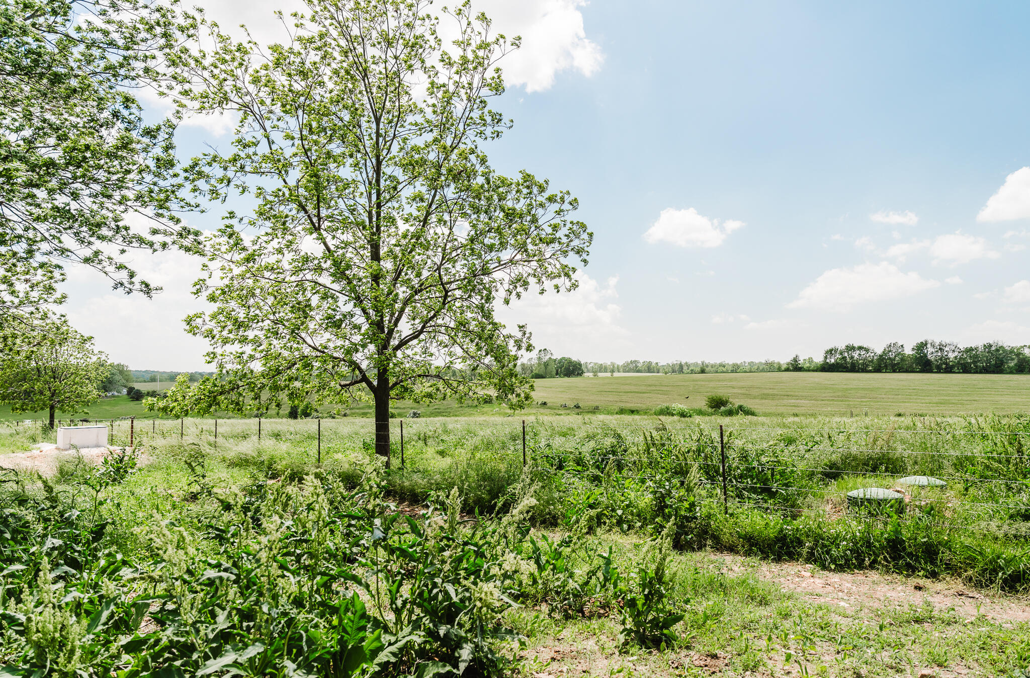 795 Lenape Road Property Photo 40