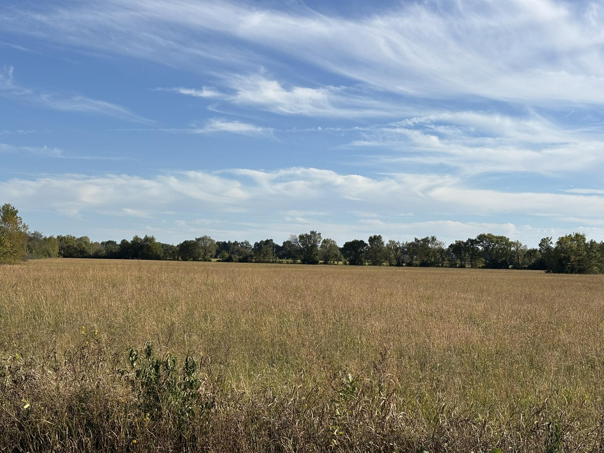 000 Southeast Black Jack Road