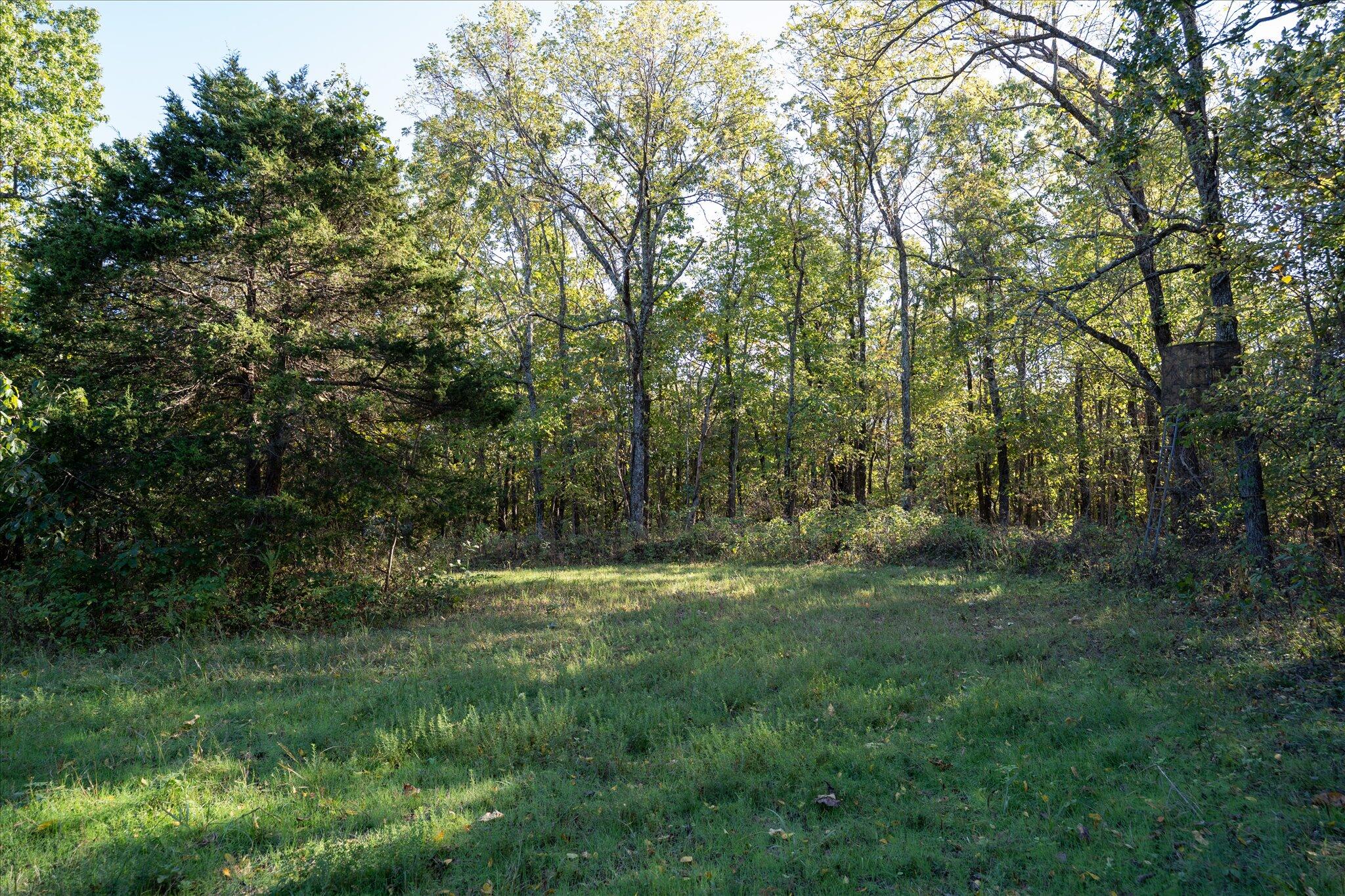 000 East Dade 36 Property Photo 15