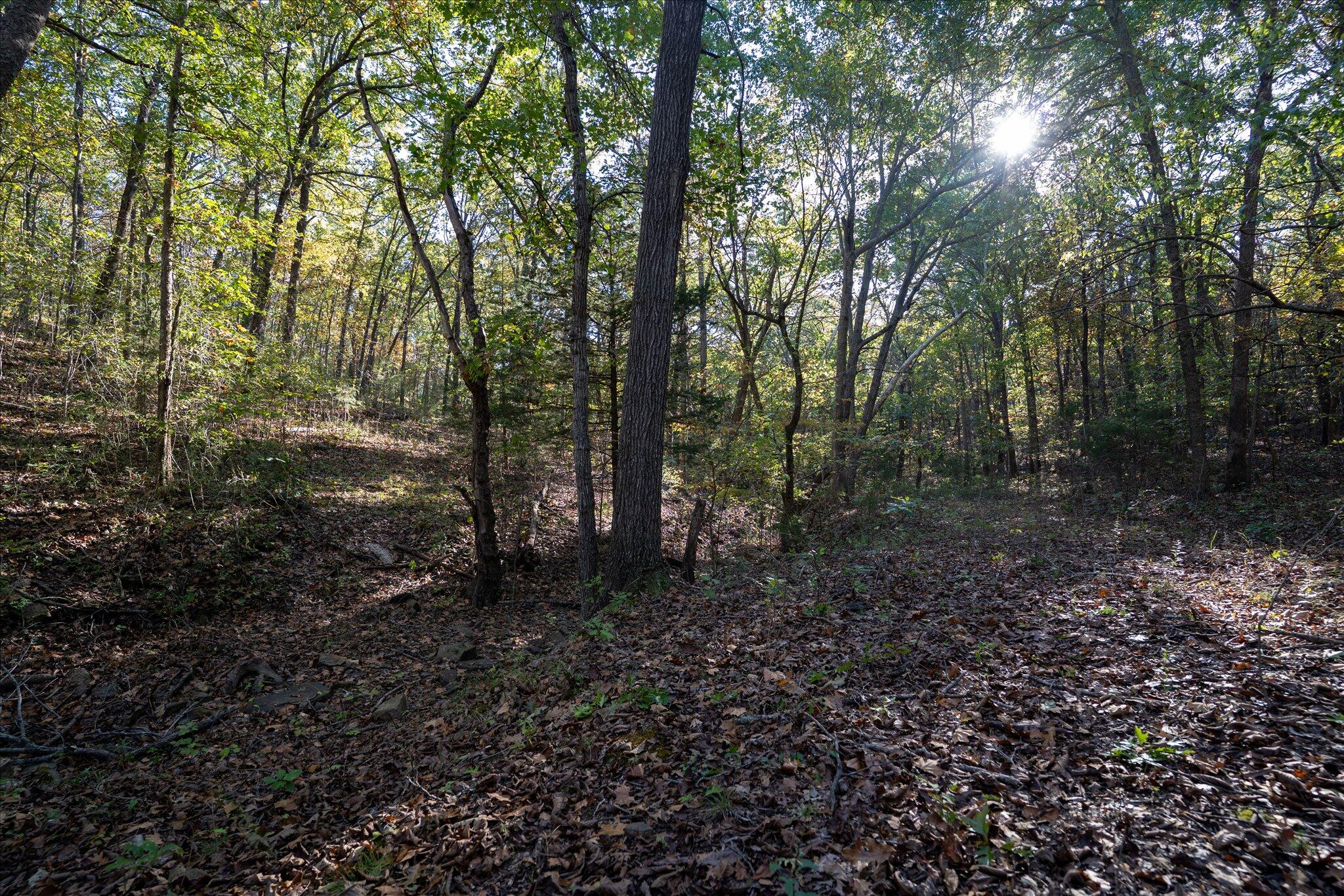 000 East Dade 36 Property Photo 17