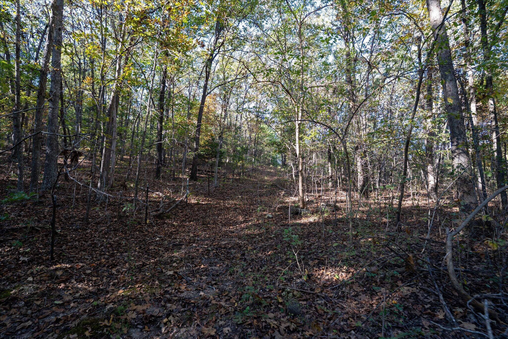 000 East Dade 36 Property Photo 18