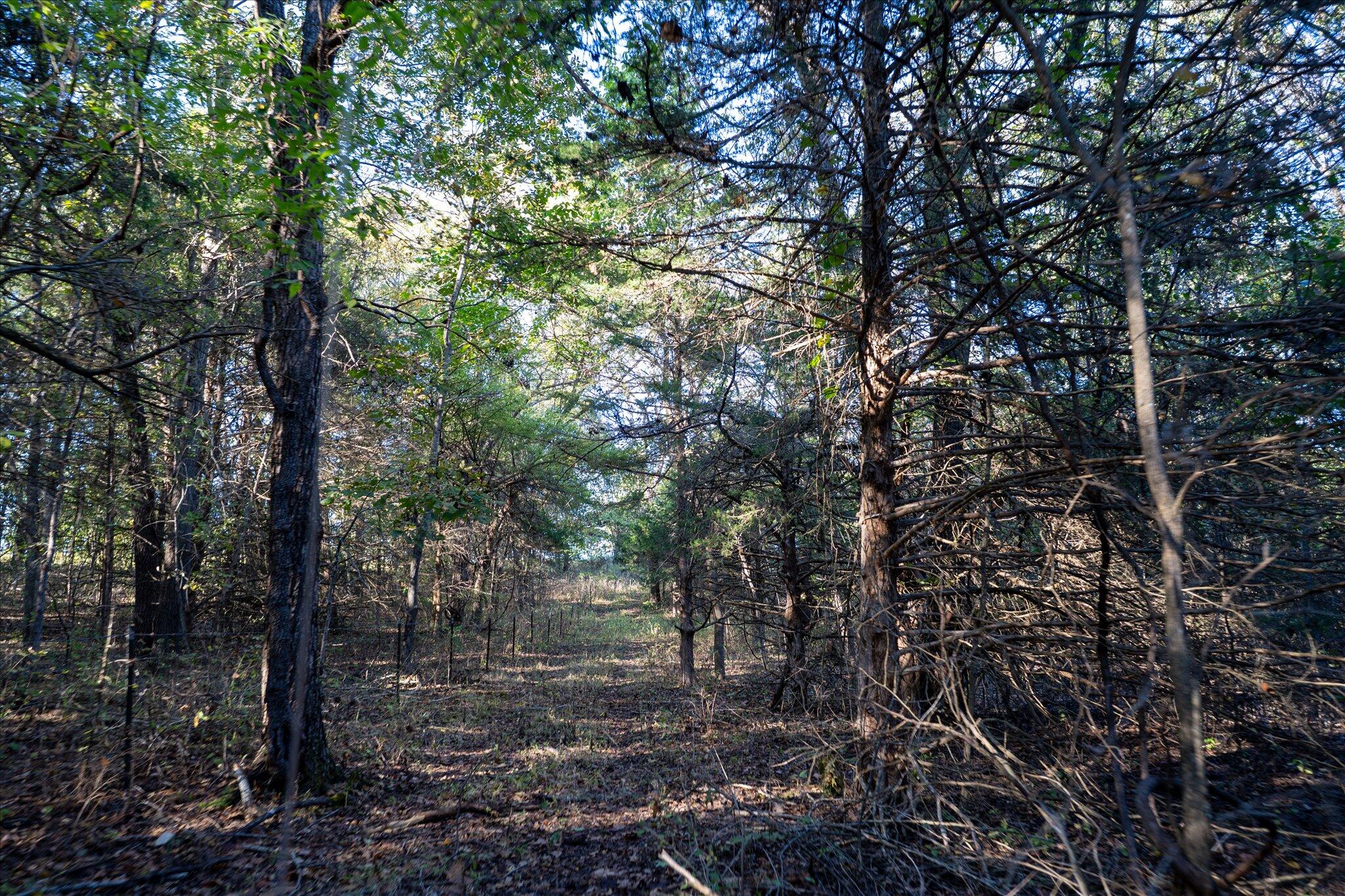 000 East Dade 36 Property Photo 19
