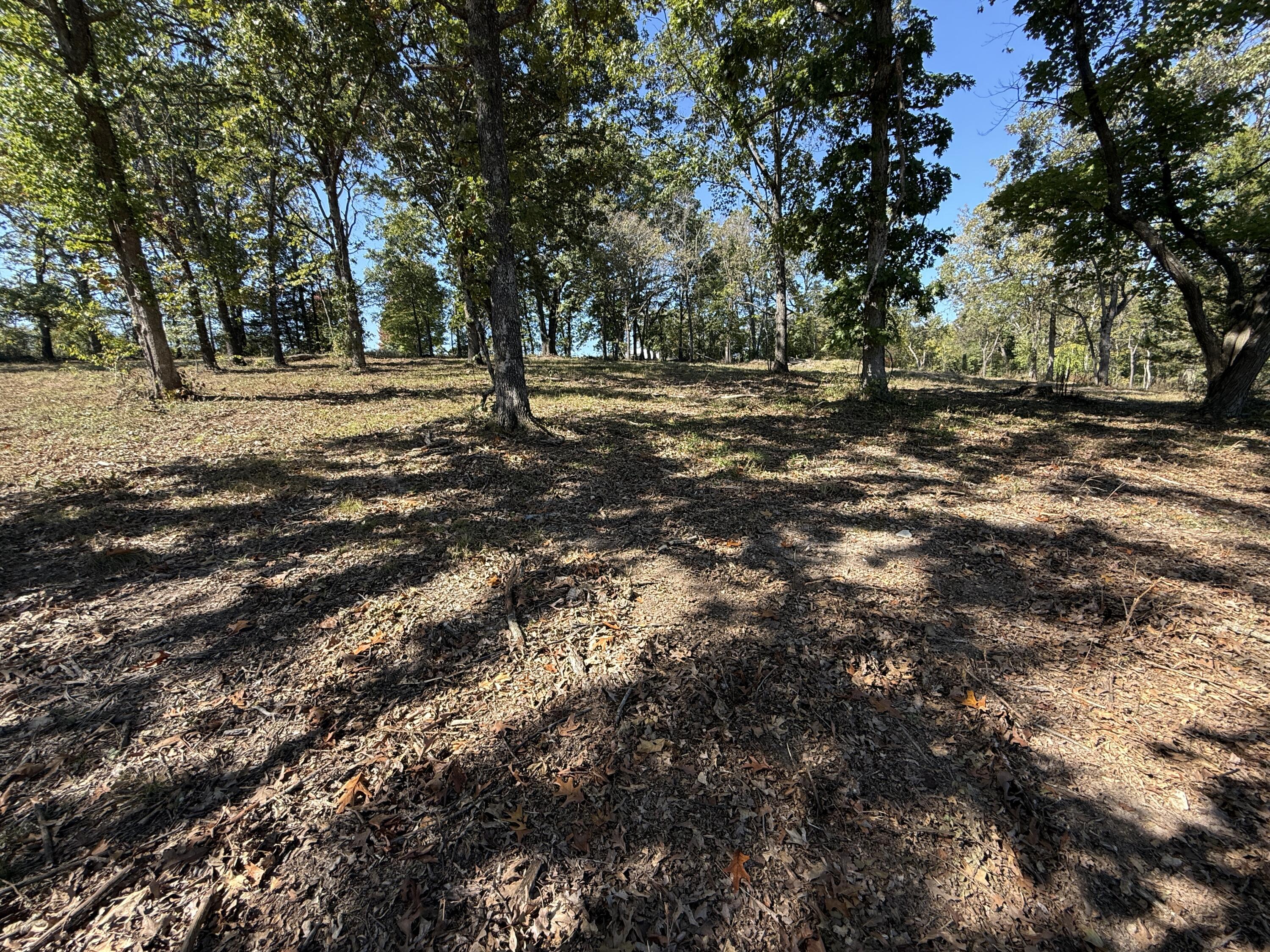 Lot #3 Indian Hills Drive Property Photo 1