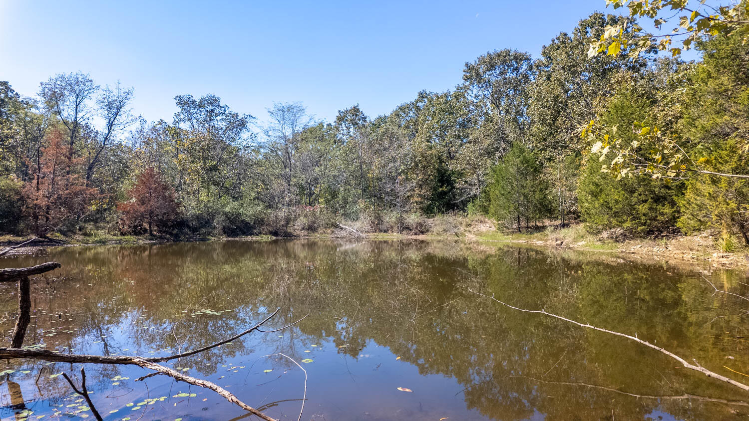 20256 Highway V Property Photo 29