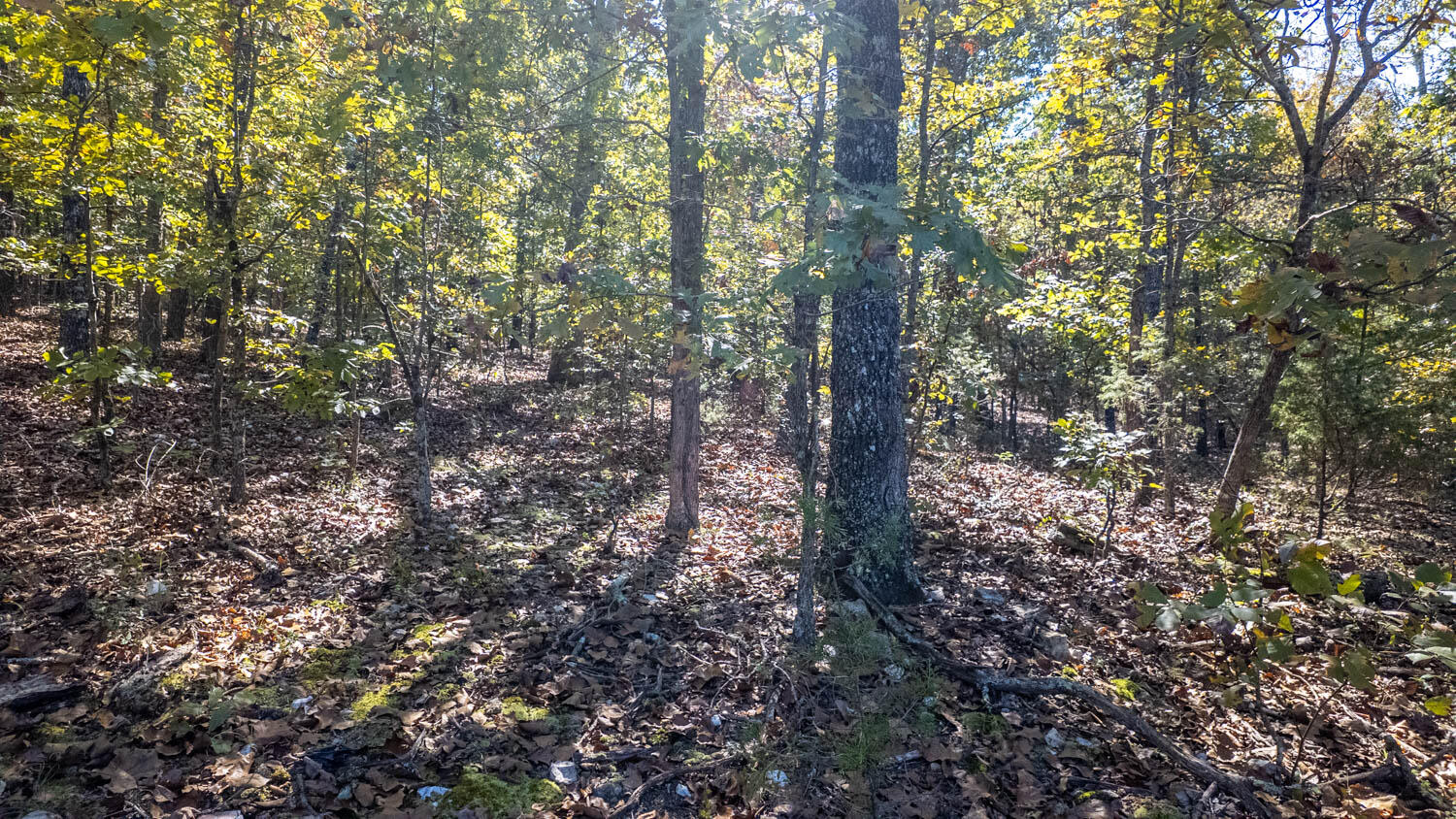 20256 Highway V Property Photo 31