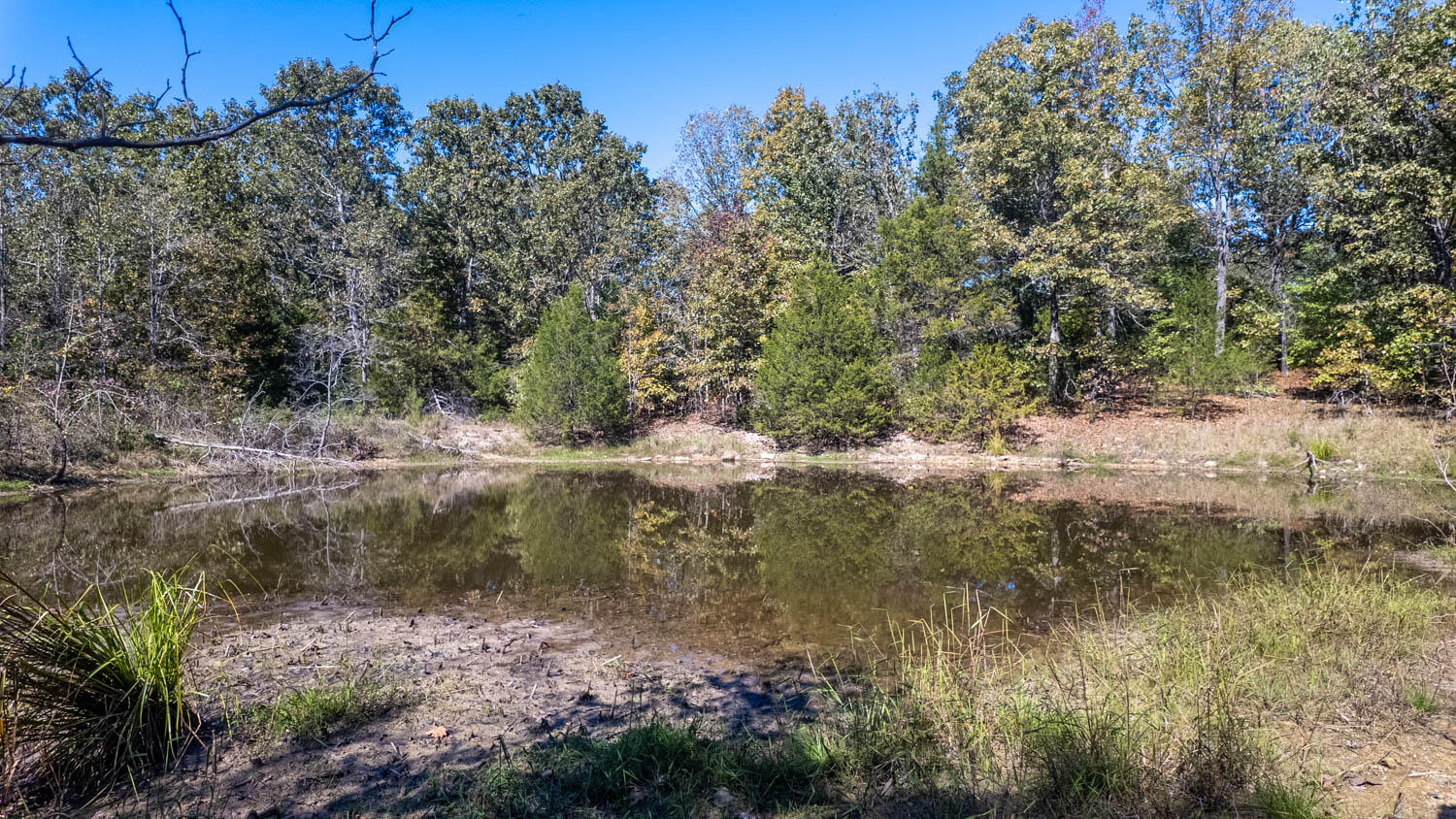 20256 Highway V Property Photo 36