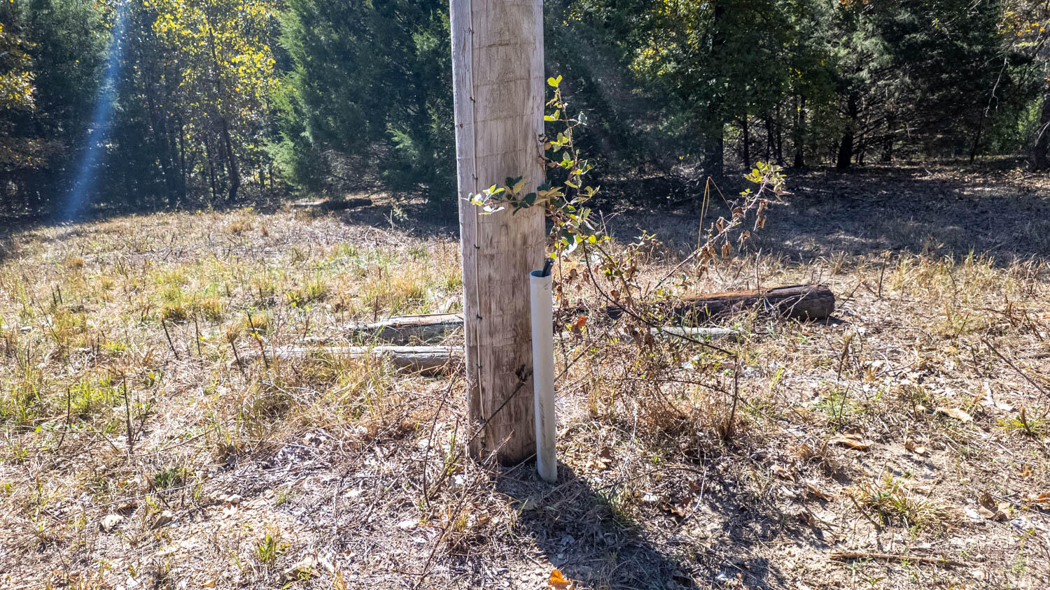 20256 Highway V Property Photo 41