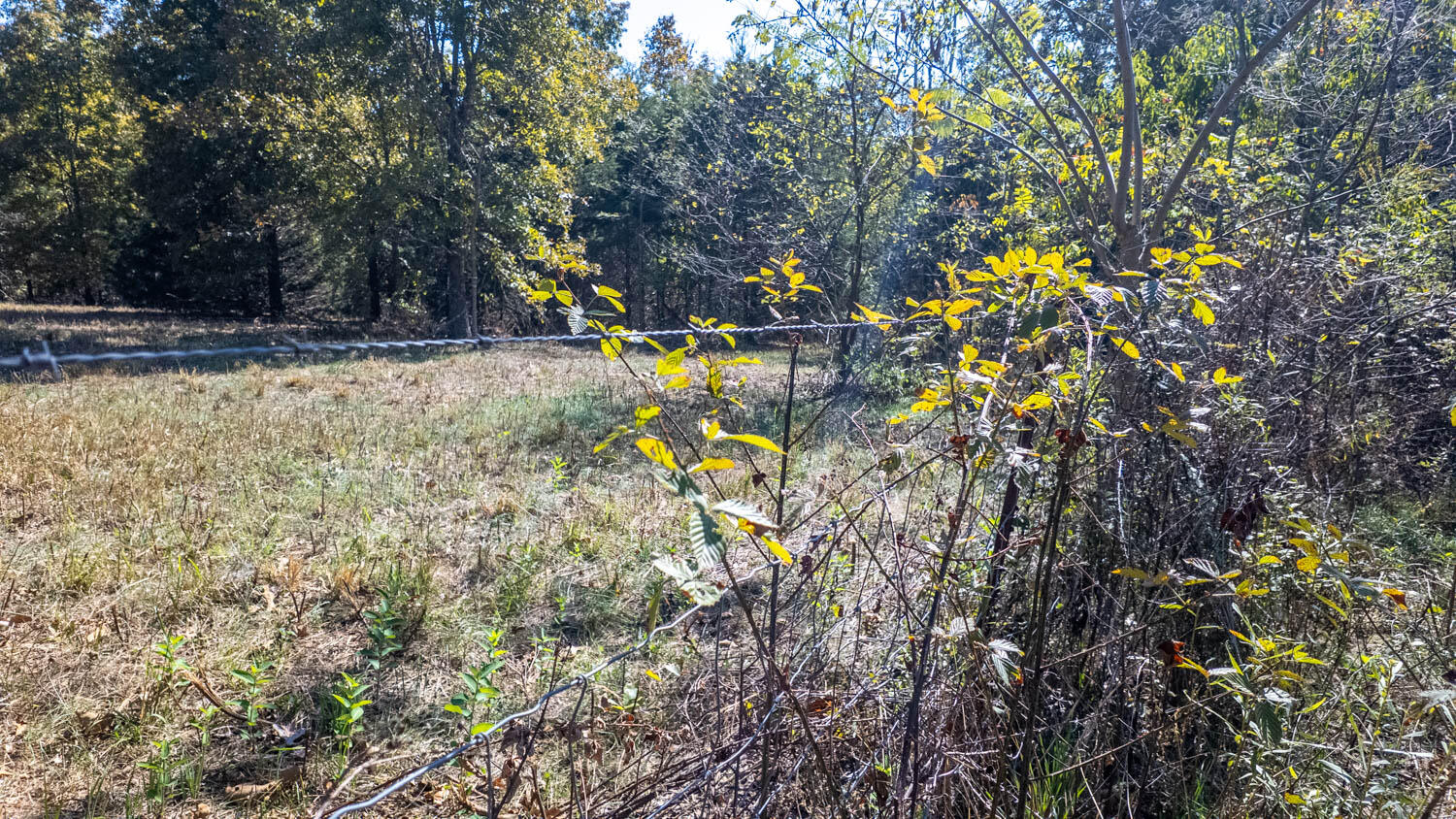 20256 Highway V Property Photo 42