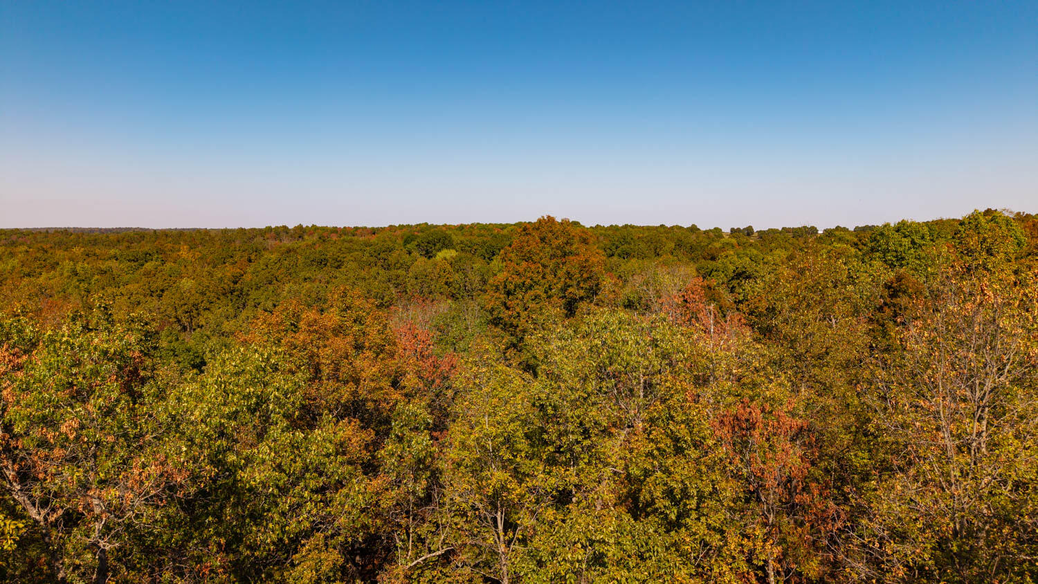 20256 Highway V Property Photo 48
