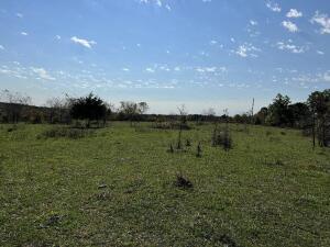 000 Date Drive Property Photo 3